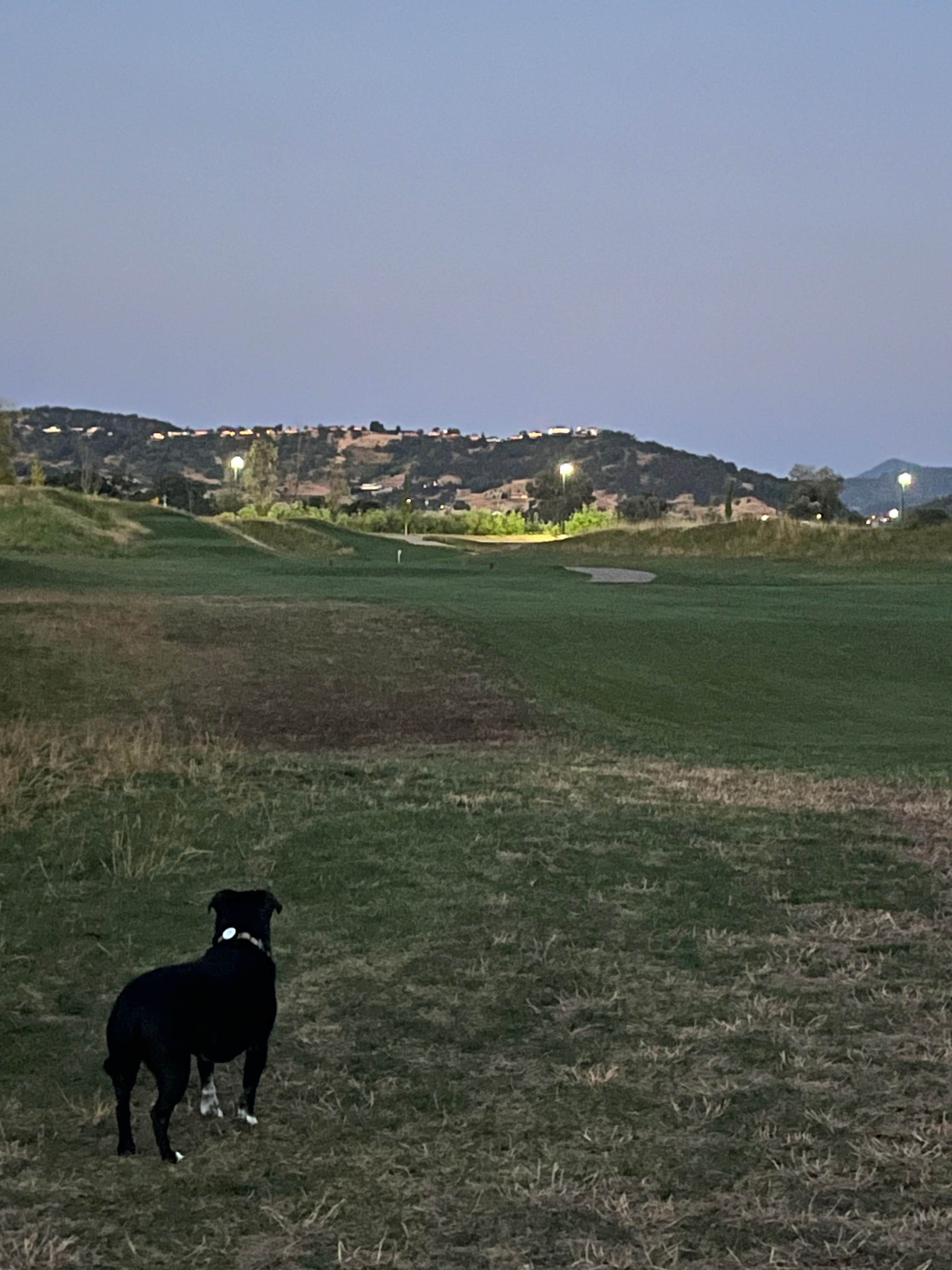 Julie G.'s photo of camping with pets at Bar Run Golf and RV Resort near Roseburg, OR