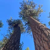 Review photo of Barnhouse Campground by christy S., July 1, 2026