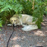 Review photo of Barrier Dam Campgrounds by Angela S., August 11, 2025