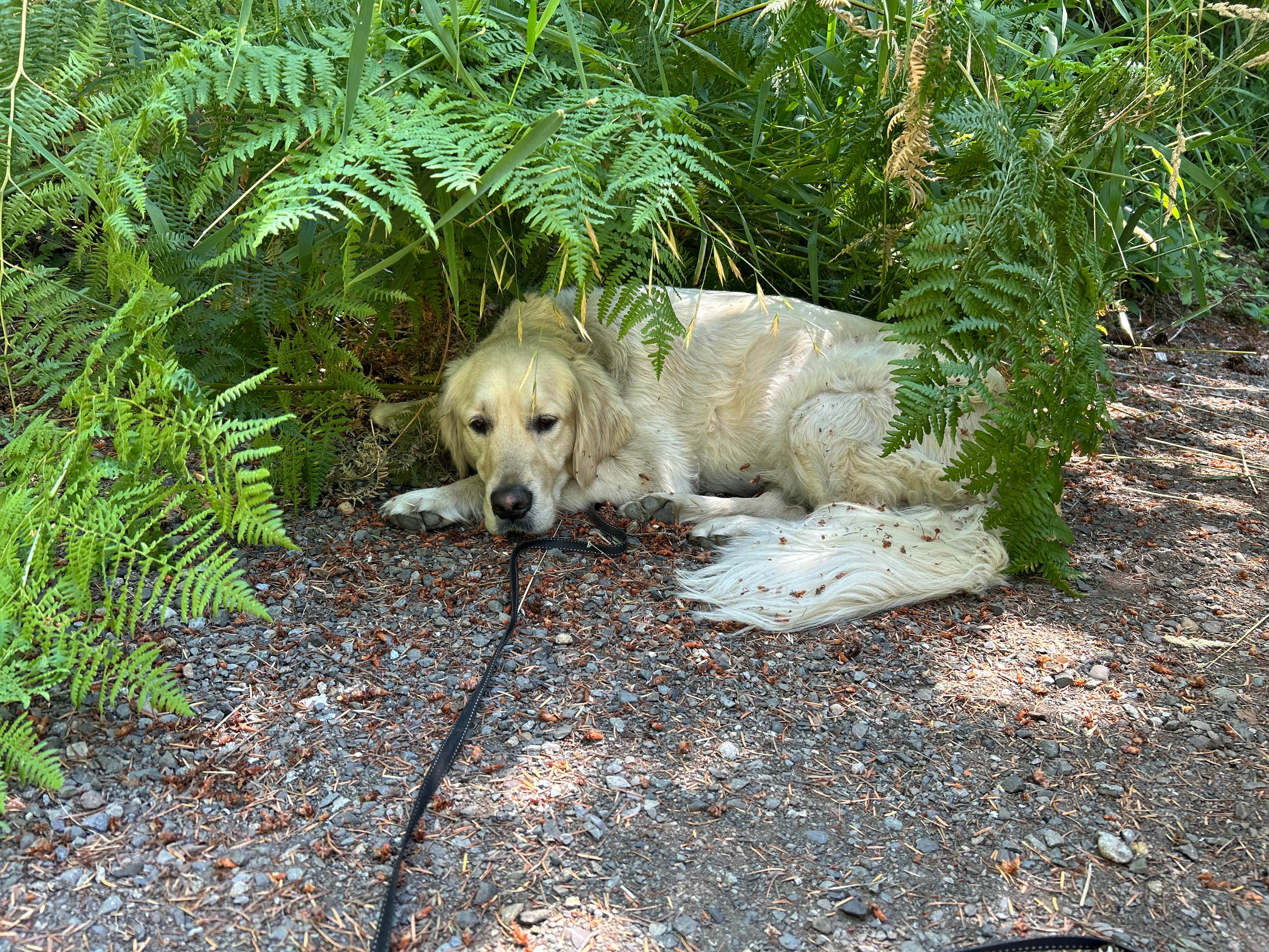 Camper submitted image from Barrier Dam Campgrounds - 2