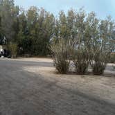 Review photo of Barstow-Calico KOA by Jennifer H., April 11, 2025