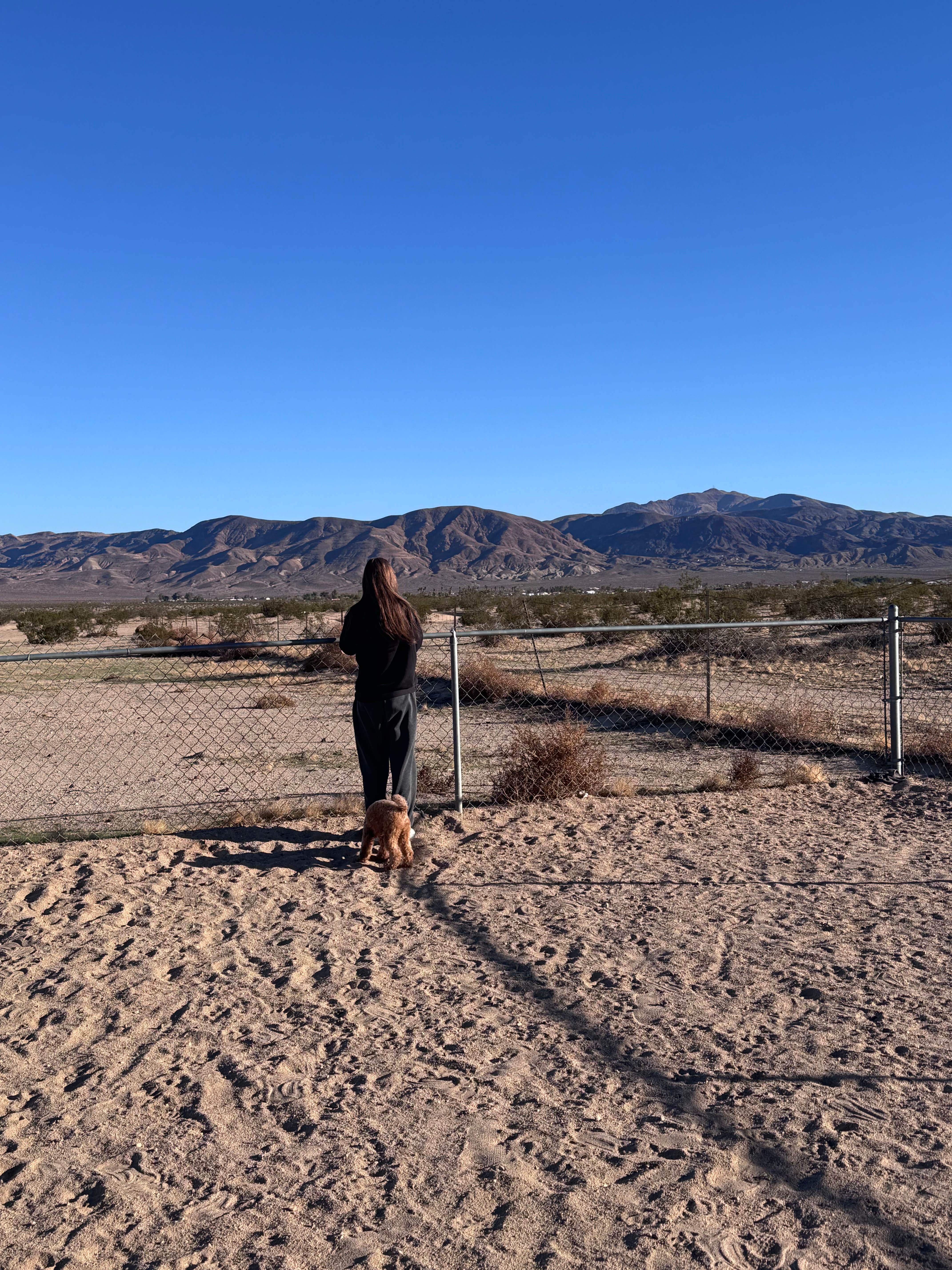 Gillian L.'s photo of camping with pets at Barstow-Calico KOA near Newberry Springs, CA