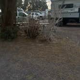 Review photo of Barstow-Calico KOA by Jennifer H., April 11, 2025
