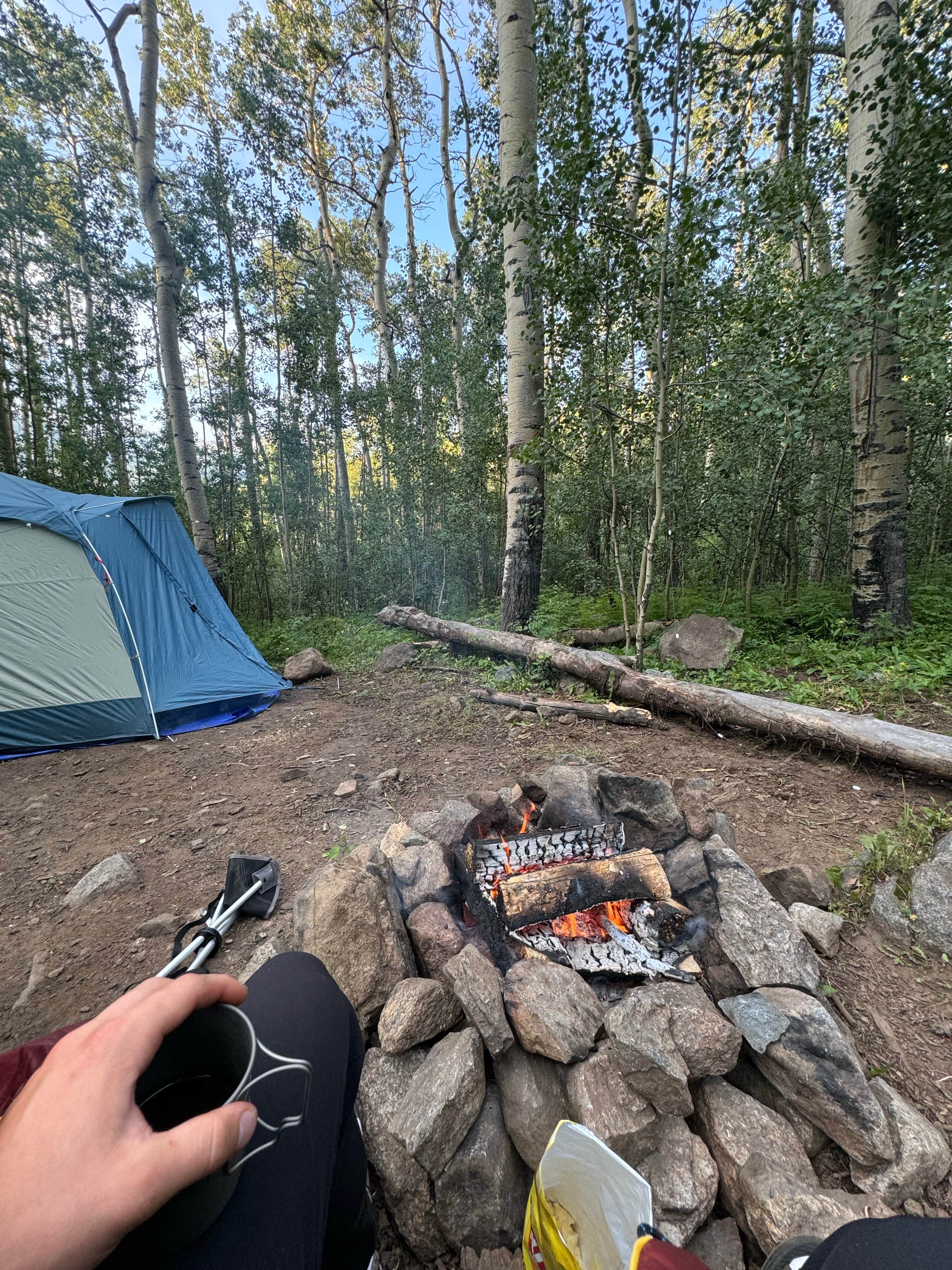 Camping near Halfmoon East — Psicc: Bartlett Creek Gulch Dispersed, Granite, Colorado