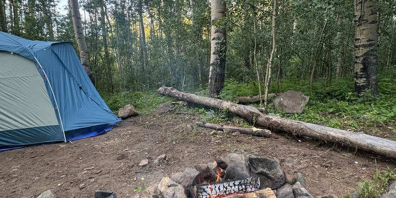 Camper submitted image from Bartlett Creek Gulch Dispersed