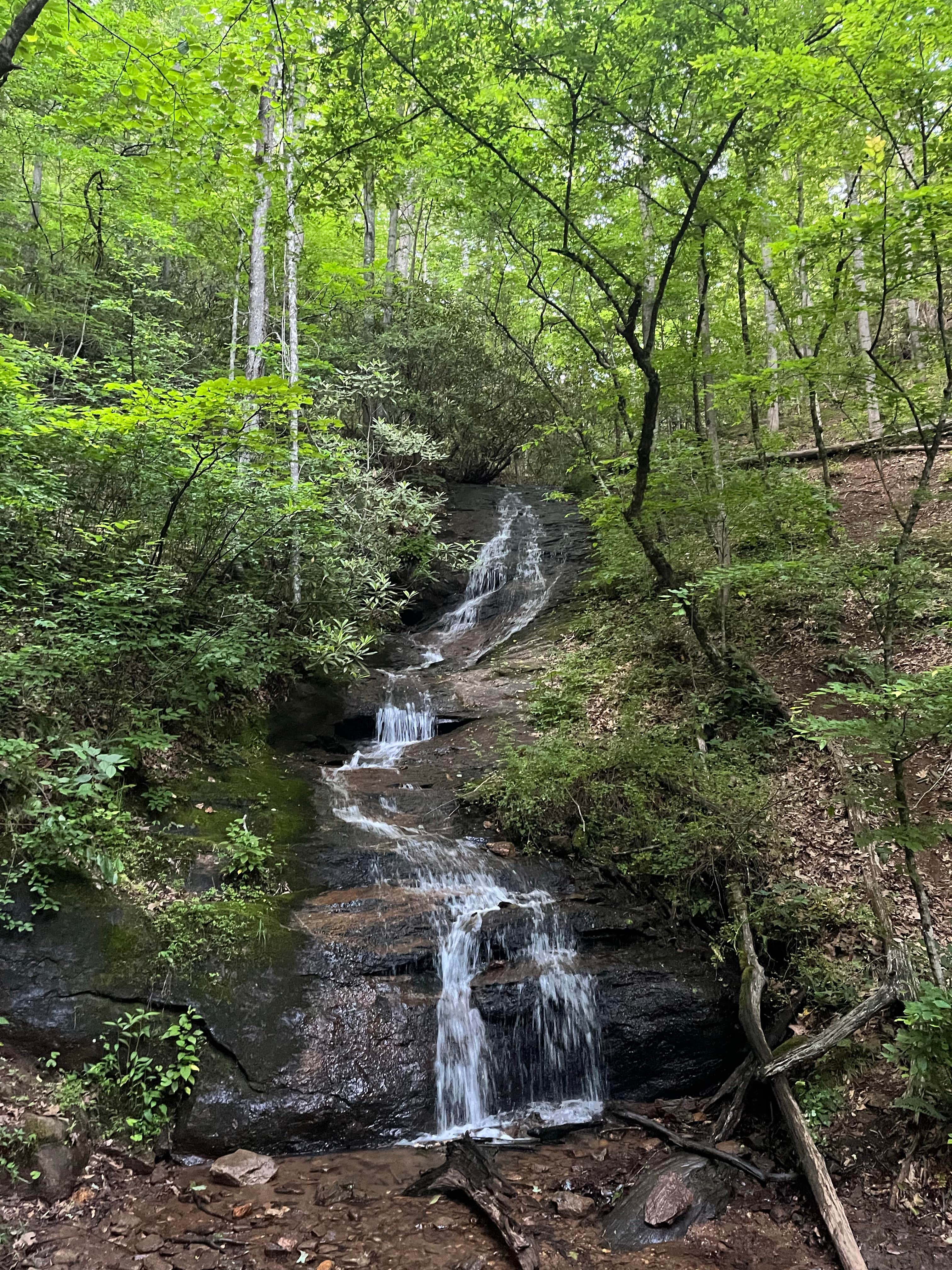 Camper-submitted photo at Bartram Trail Campground near Franklin near Otto, NC