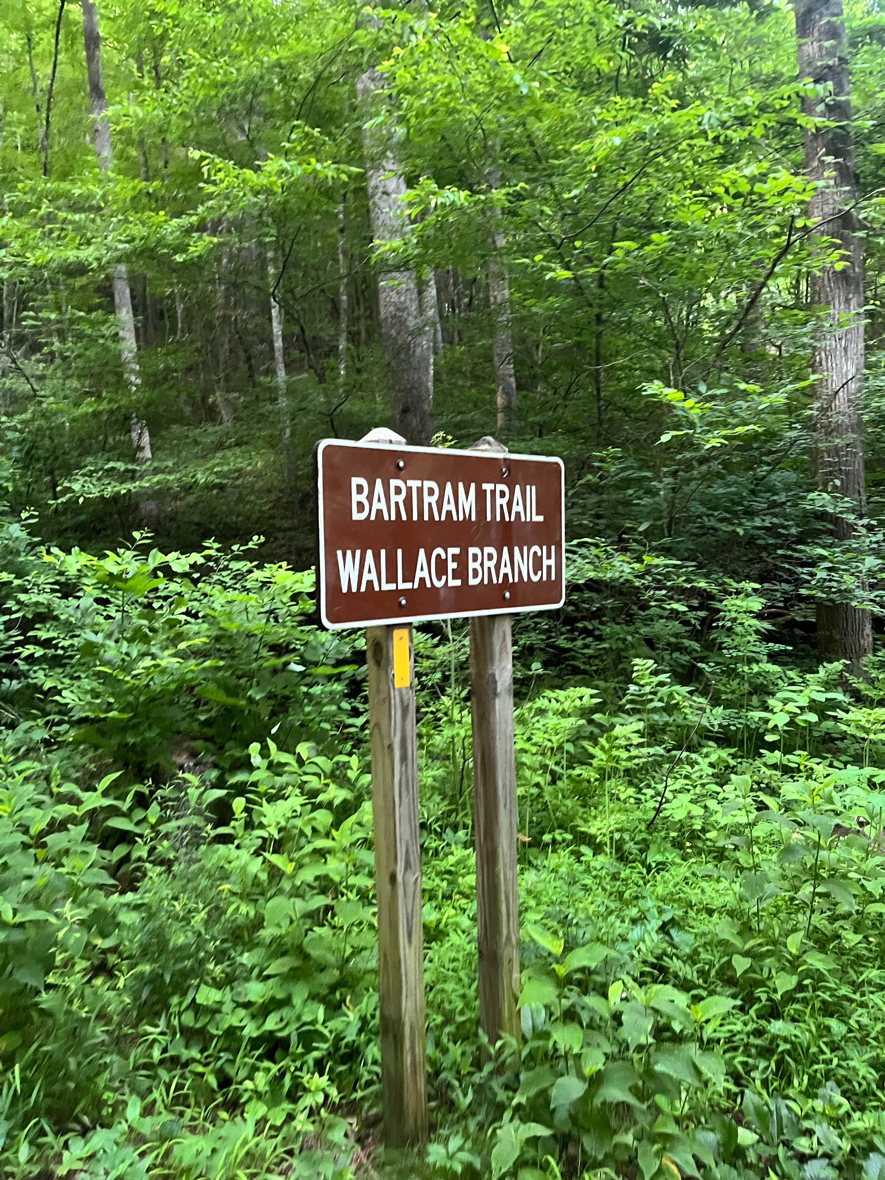 Camper-submitted photo at Bartram Trail Campground near Franklin near Otto, NC