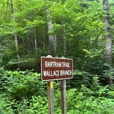 Review photo of Bartram Trail Campground near Franklin by Nicholas G., June 6, 2025