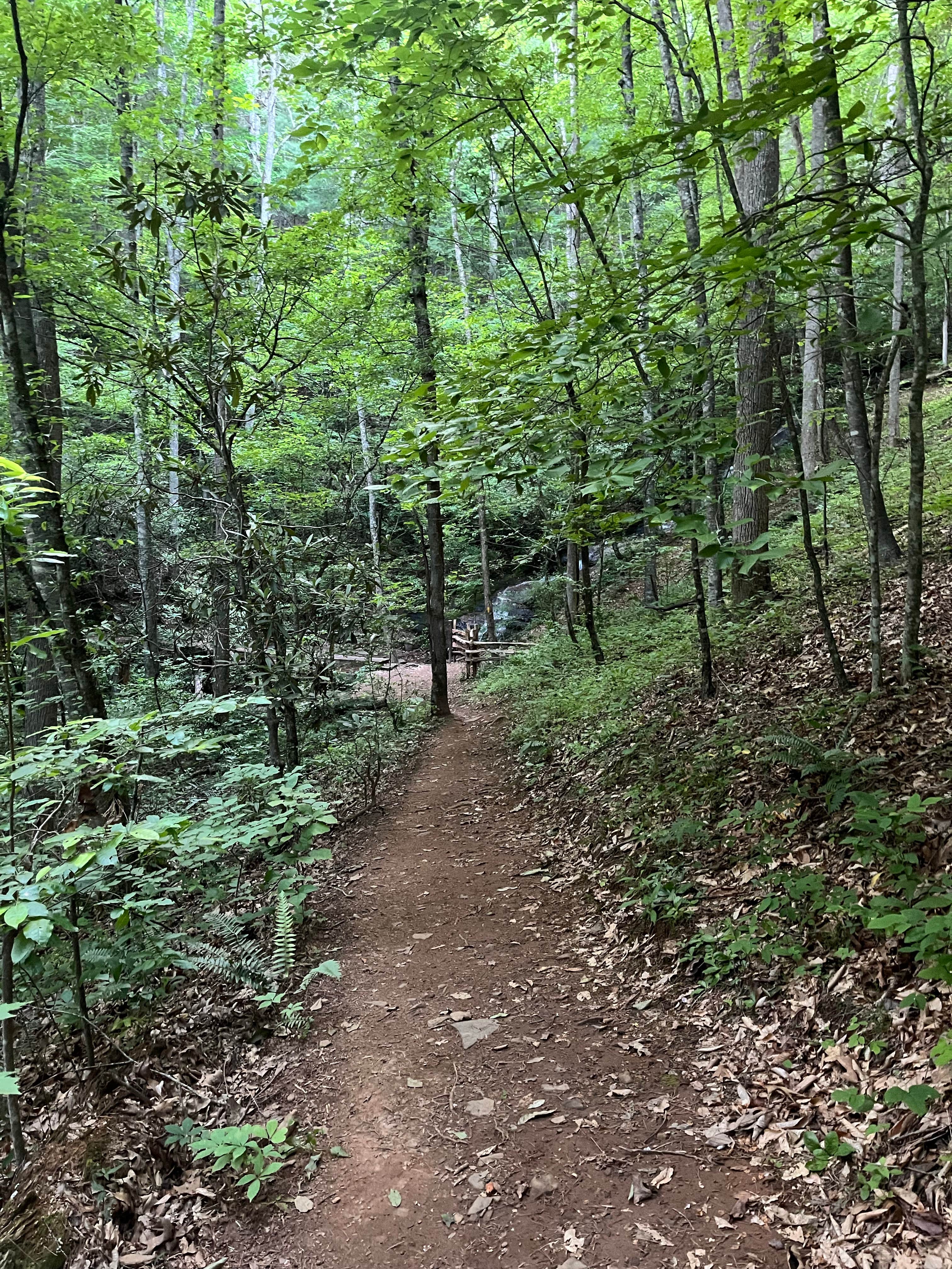 Camper-submitted photo at Bartram Trail Campground near Franklin near Otto, NC