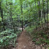 Review photo of Bartram Trail Campground near Franklin by Nicholas G., June 6, 2025