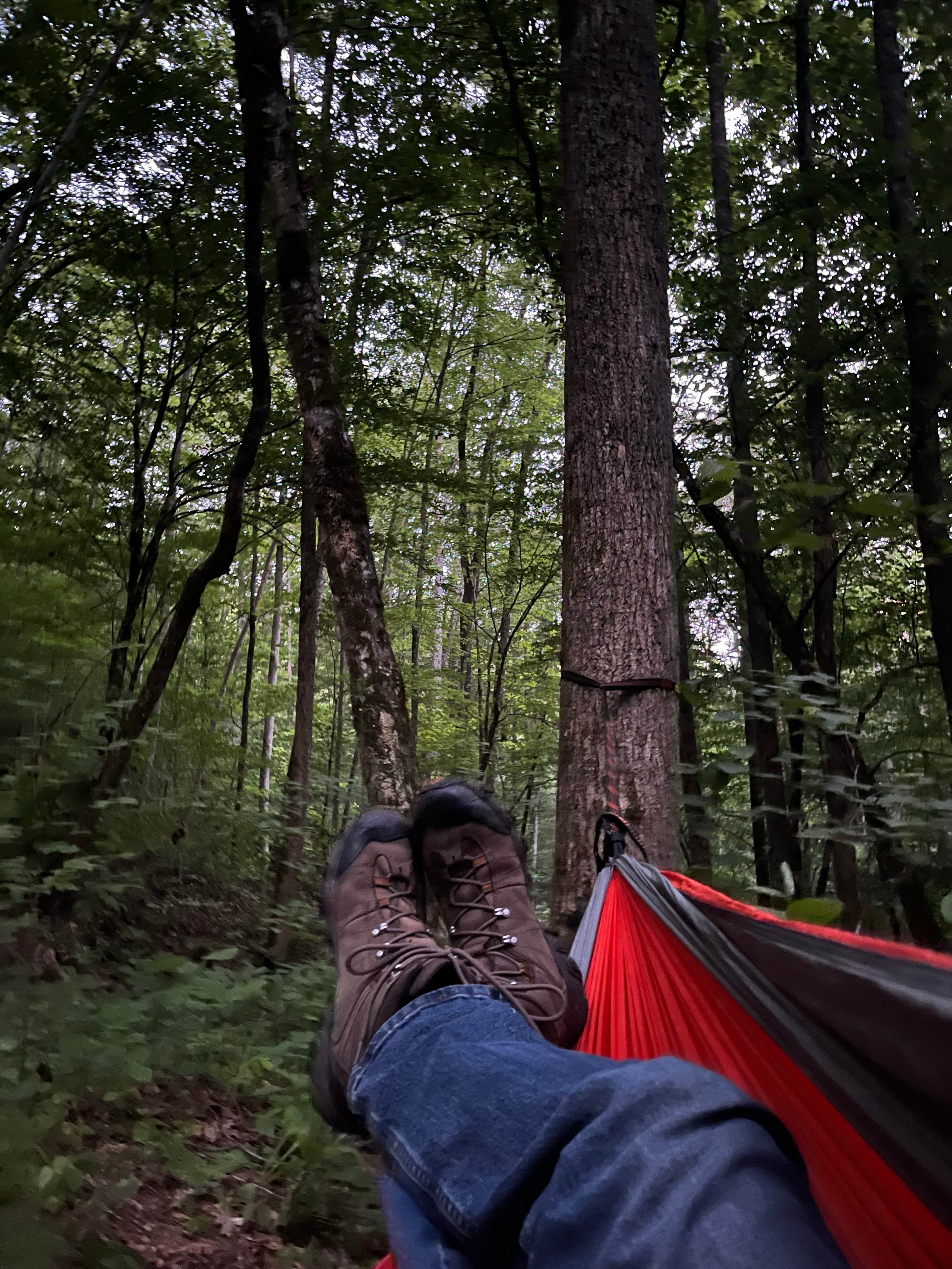 Camper-submitted photo at Bartram Trail Campground near Franklin near Otto, NC