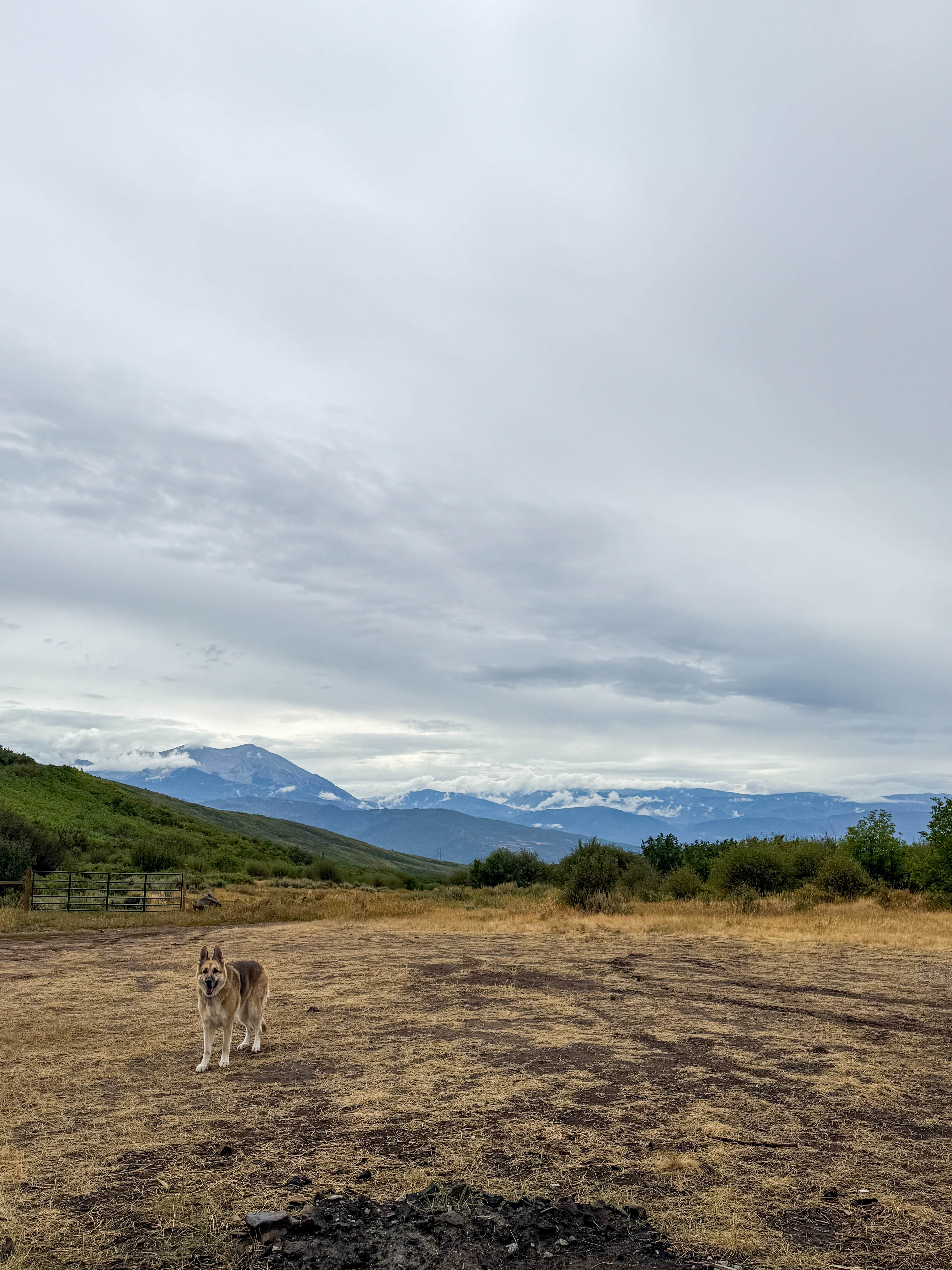 Camper-submitted photo at Basalt Mountain Dispersed near Woody Creek, CO