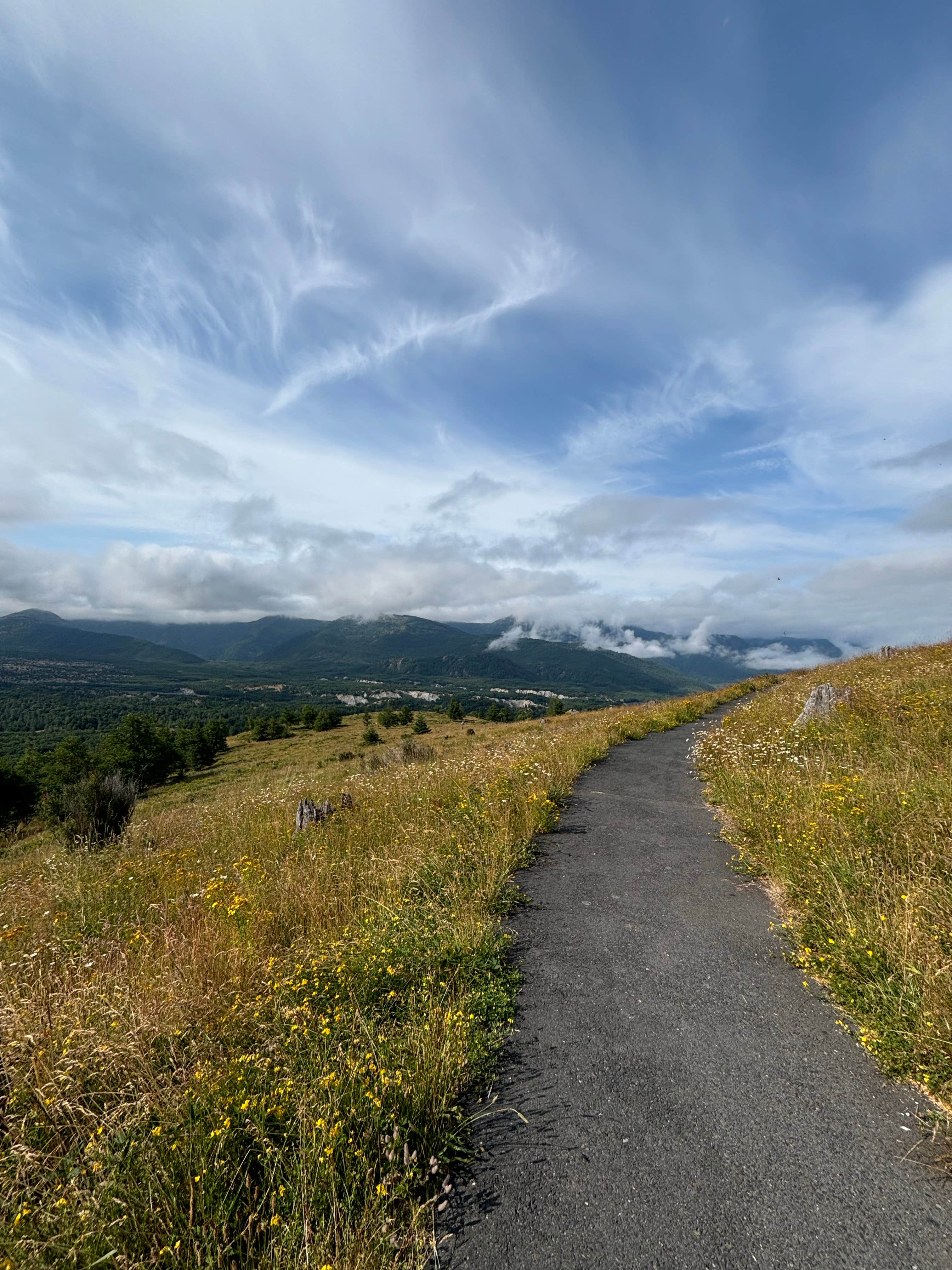 Camper submitted image from Base Camp Mt St Helen’s - 3