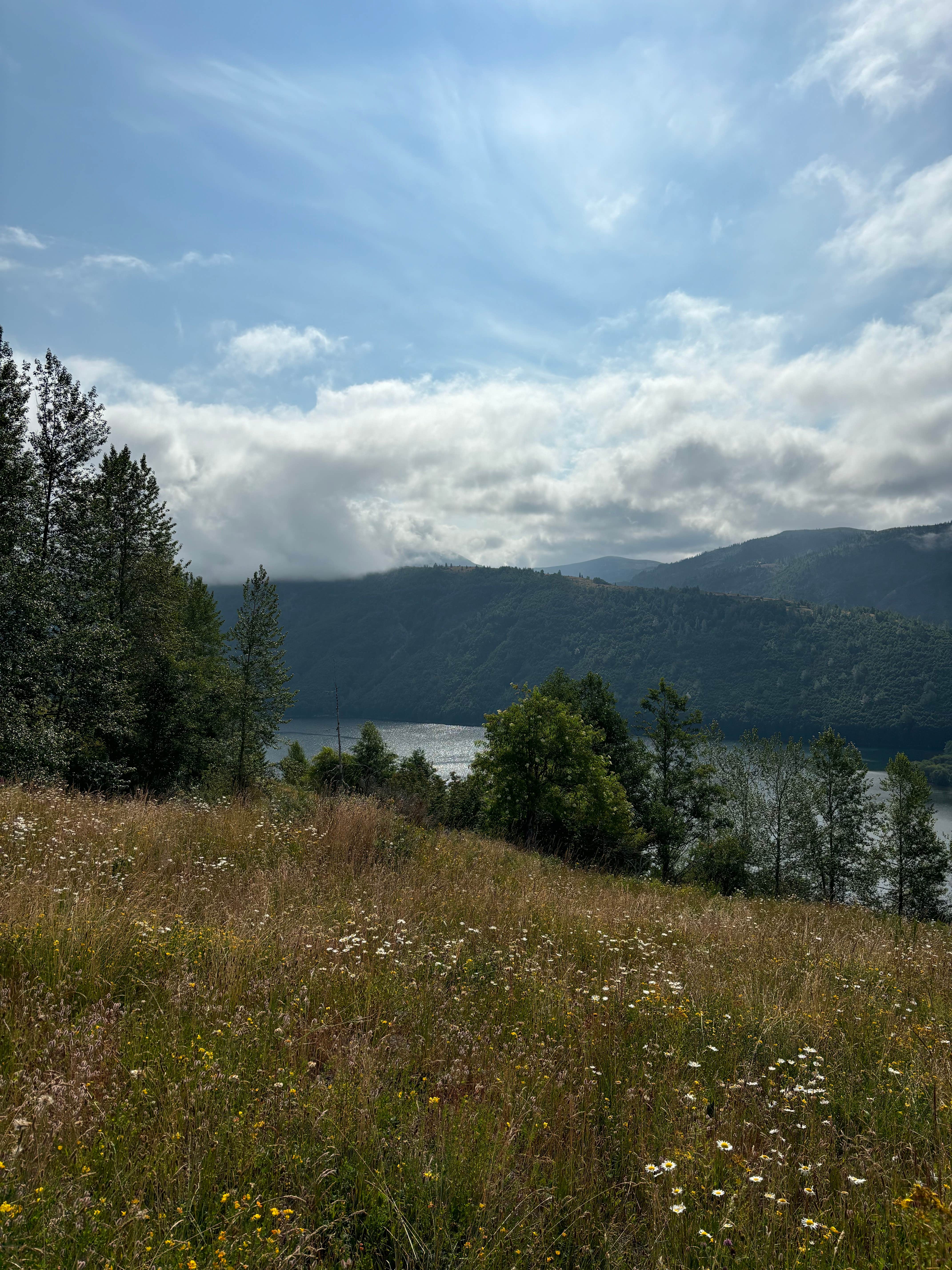 Camping near Taidnapam Park: Base Camp Mt St Helen’s, Glenoma, Washington