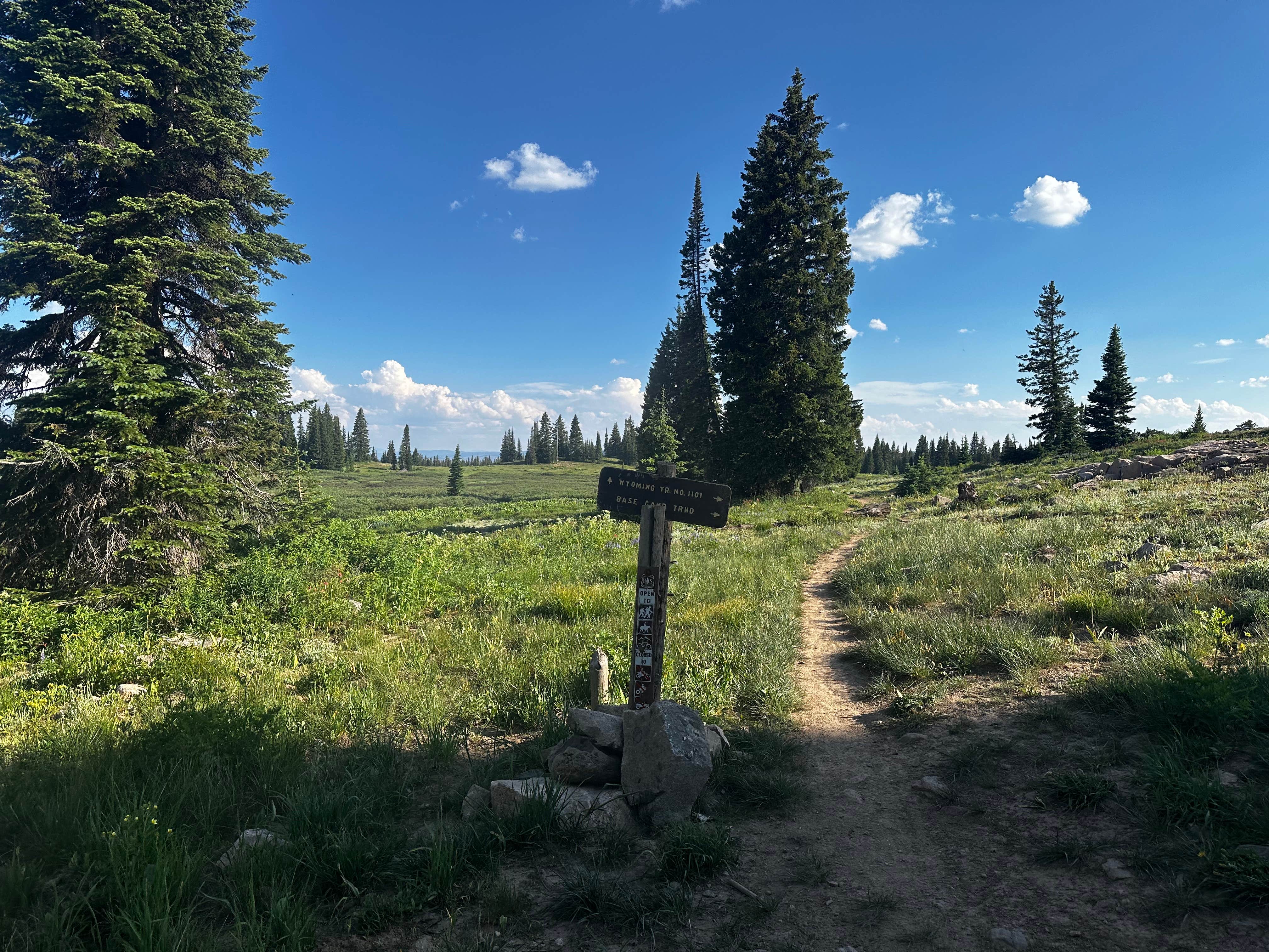 Camper submitted image from Base Camp Trailhead - 3