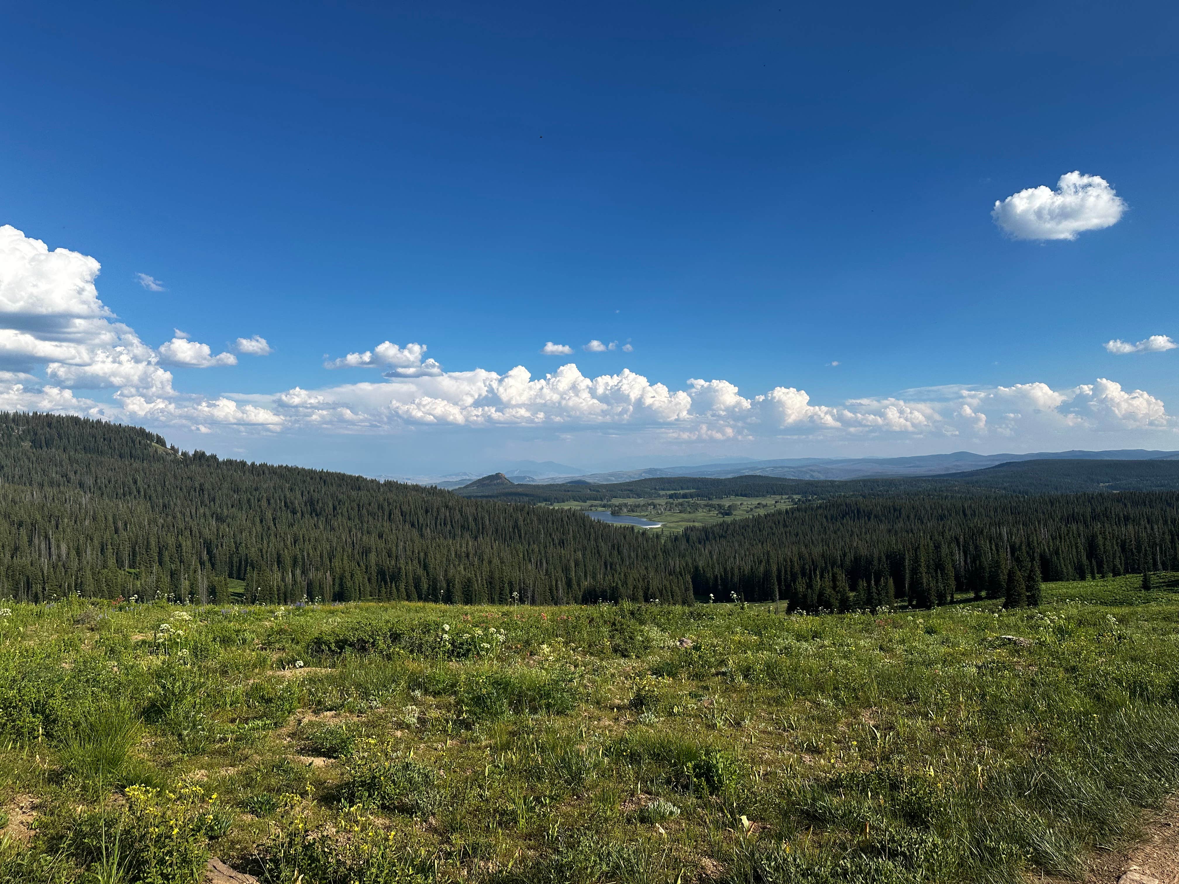Camper-submitted photo at Base Camp Trailhead near Coalmont, CO