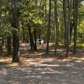 Review photo of Base of North Fork Pinnacle Dispersed, Forest Road 132 by Joseph G., August 6, 2026