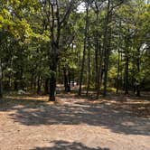 Review photo of Base of North Fork Pinnacle Dispersed, Forest Road 132 by Joseph G., August 6, 2026