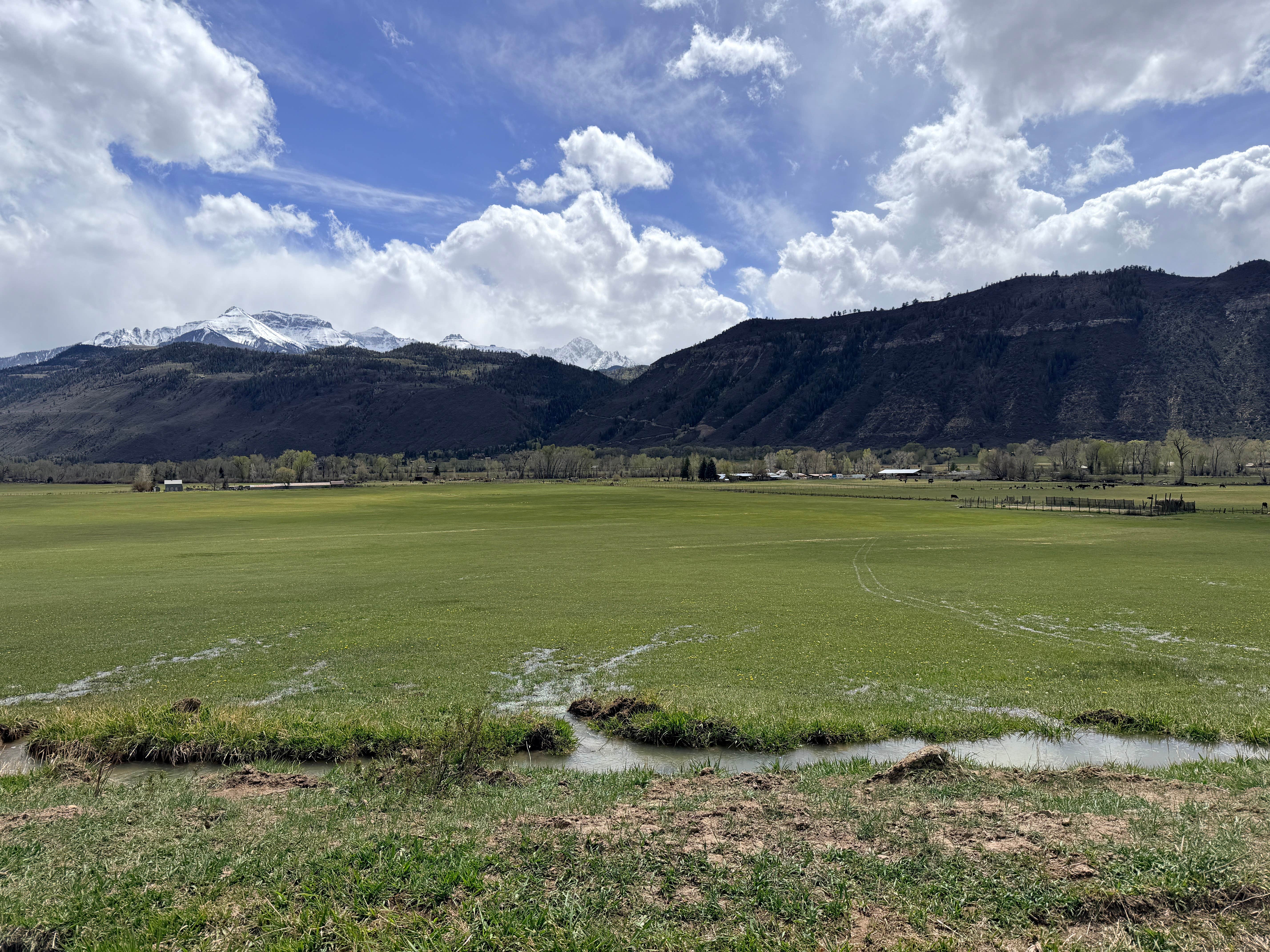 Camper-submitted photo at BASECAMP 550 near Ridgway, CO