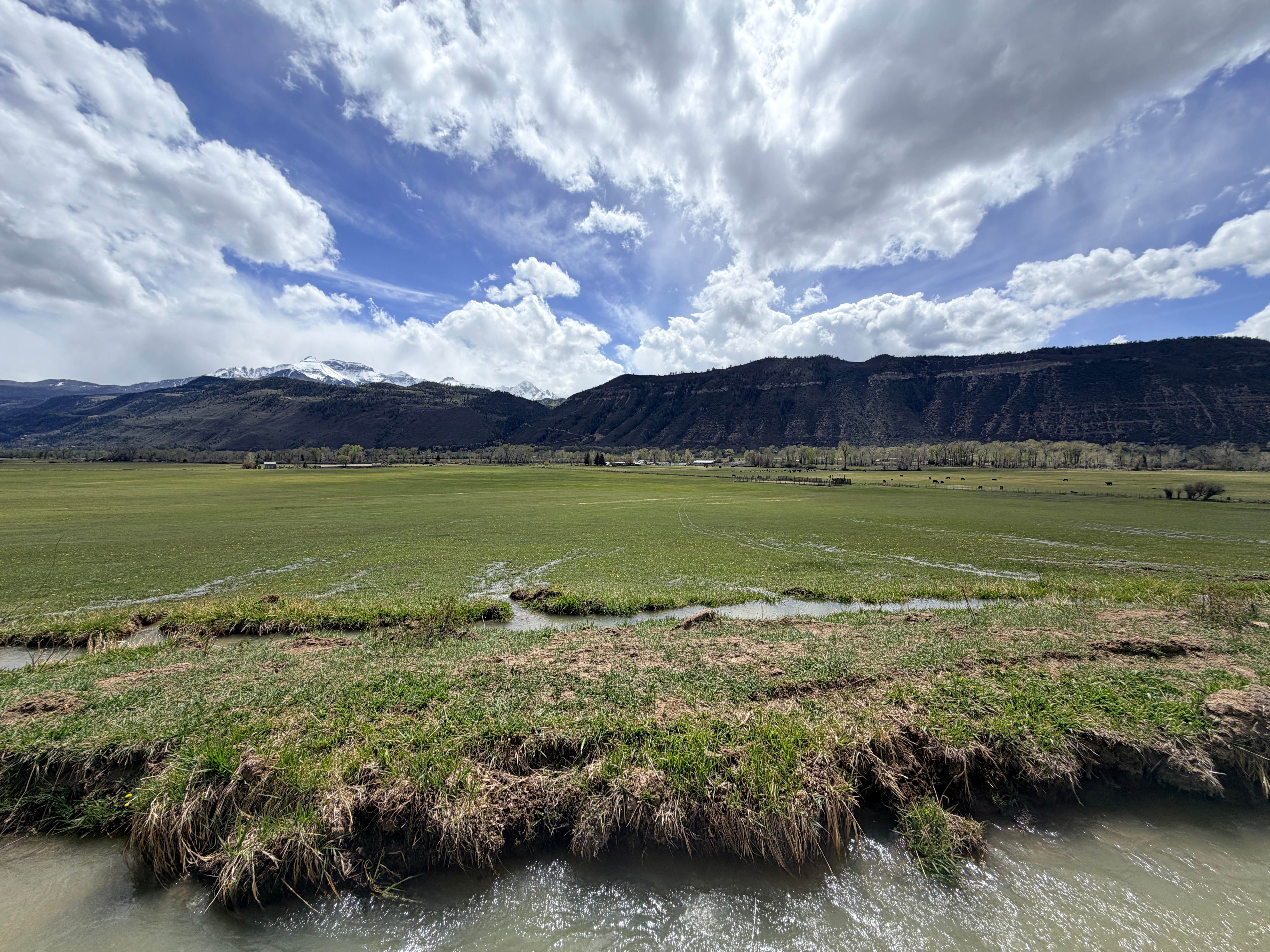Camper-submitted photo at BASECAMP 550 near Ridgway, CO