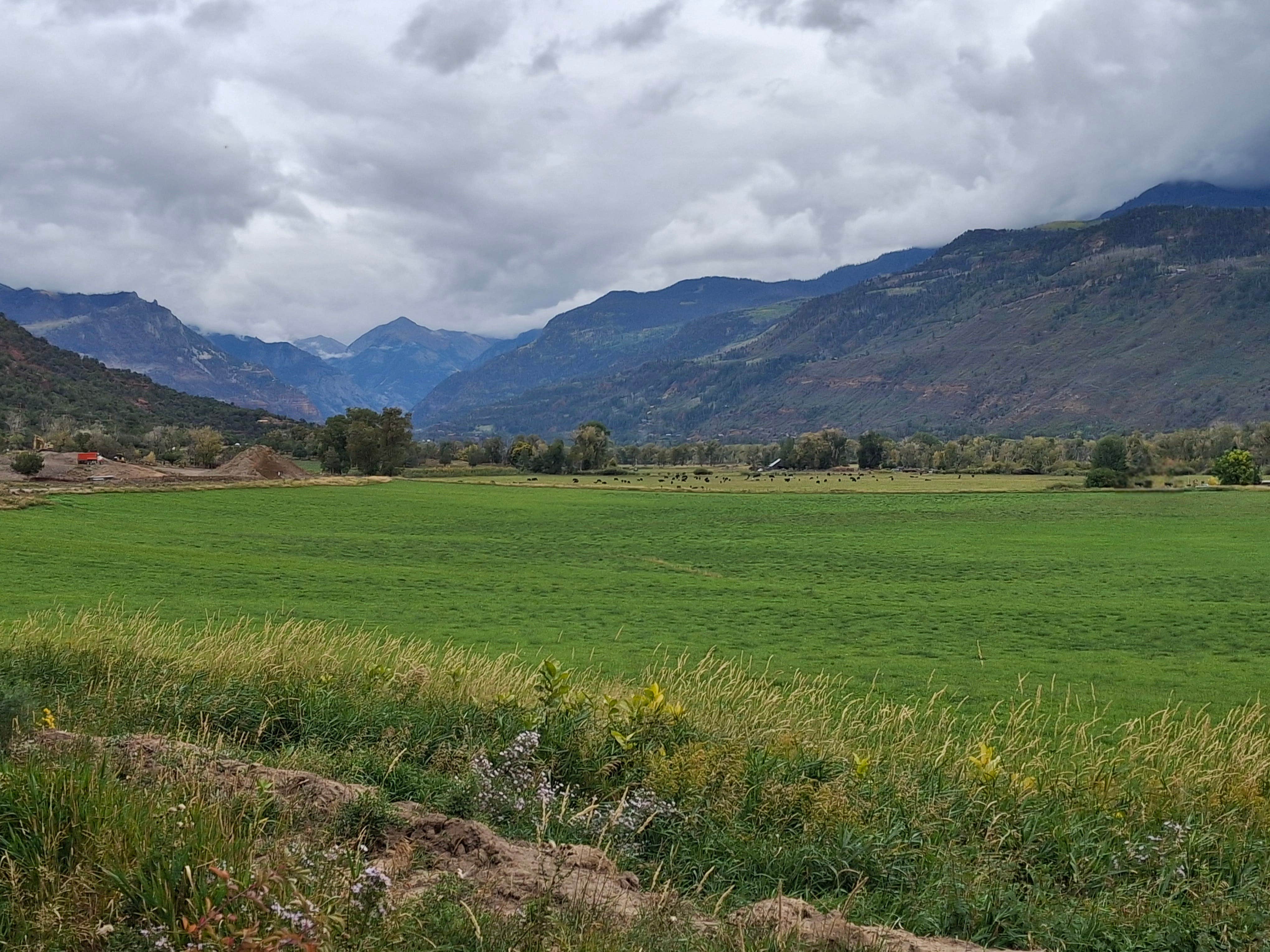 Camper-submitted photo at BASECAMP 550 near Ridgway, CO