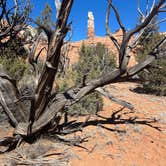 Review photo of Basin Campground — Kodachrome Basin State Park by Ursula , March 4, 2026