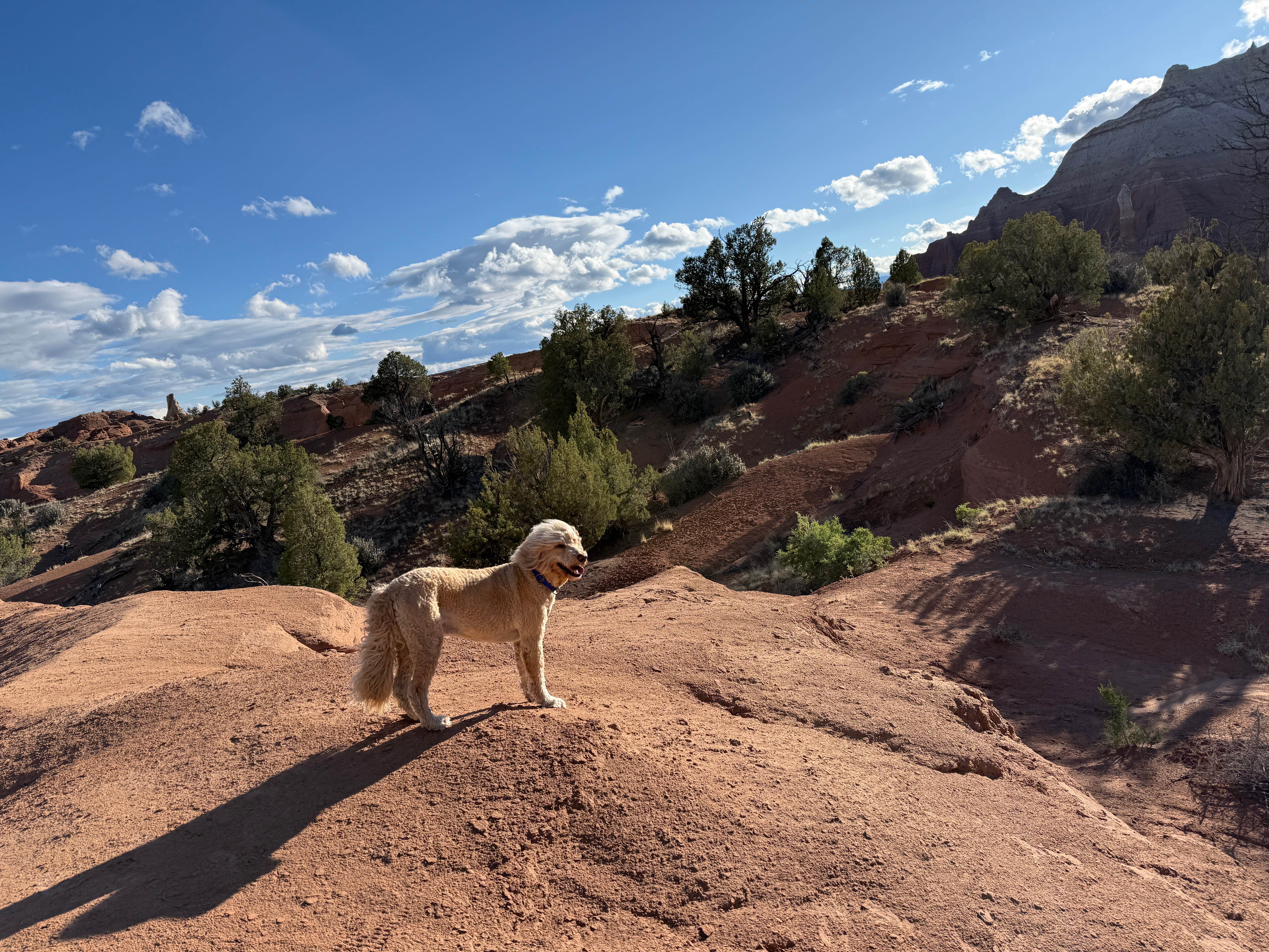 Rachele V.'s photo of camping with pets at Basin Campground — Kodachrome Basin State Park near Bryce Canyon National Park