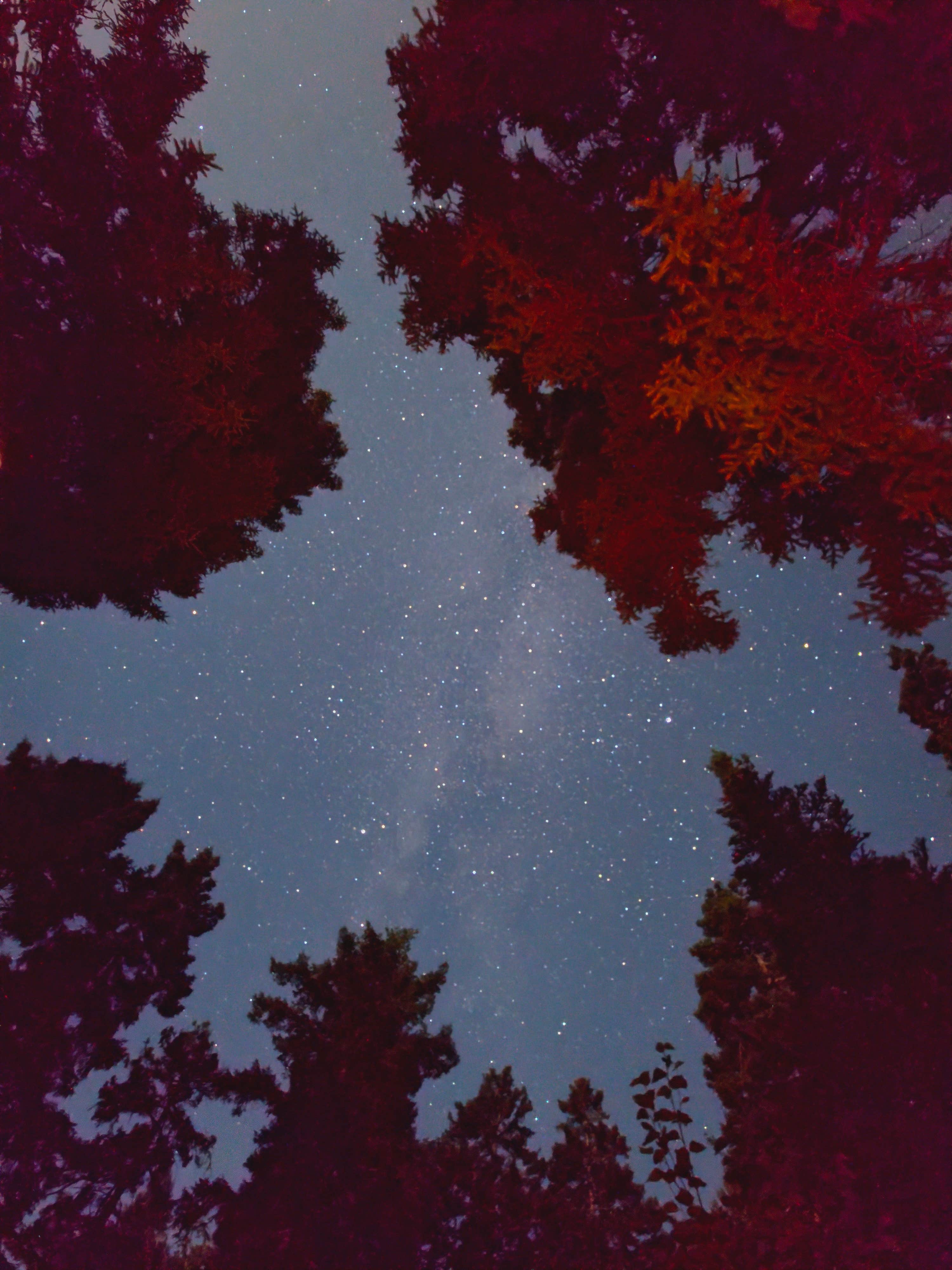 Camper-submitted photo at Bass Harbor Campground near Islesford, ME