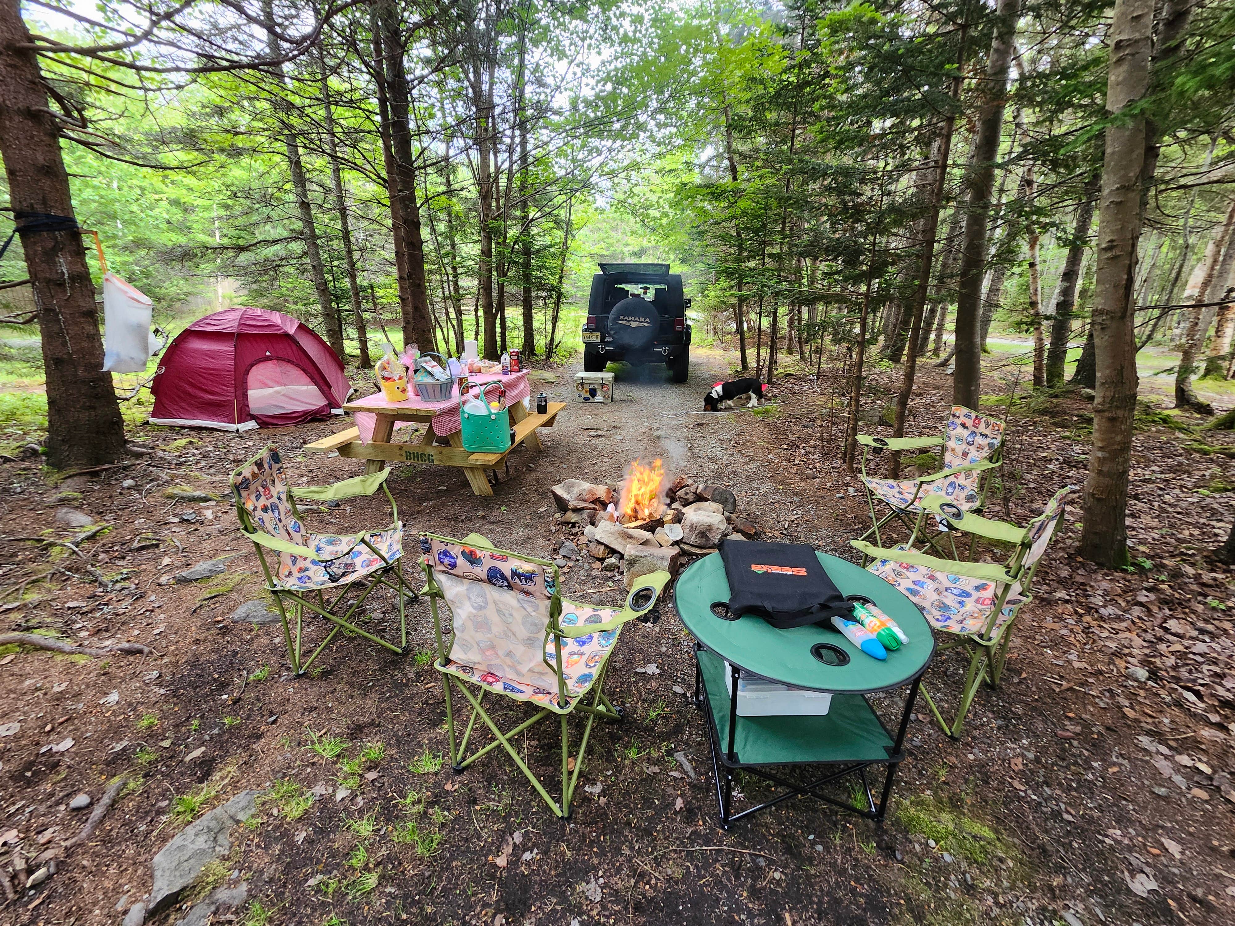 MJ B.'s photo of camping with pets at Bass Harbor Campground near Brooklin, ME
