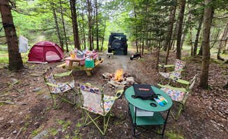 MJ B.'s photo of camping with pets at Bass Harbor Campground near Vinalhaven, ME