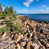 Review photo of Bass Harbor Campground by MJ B., June 19, 2024