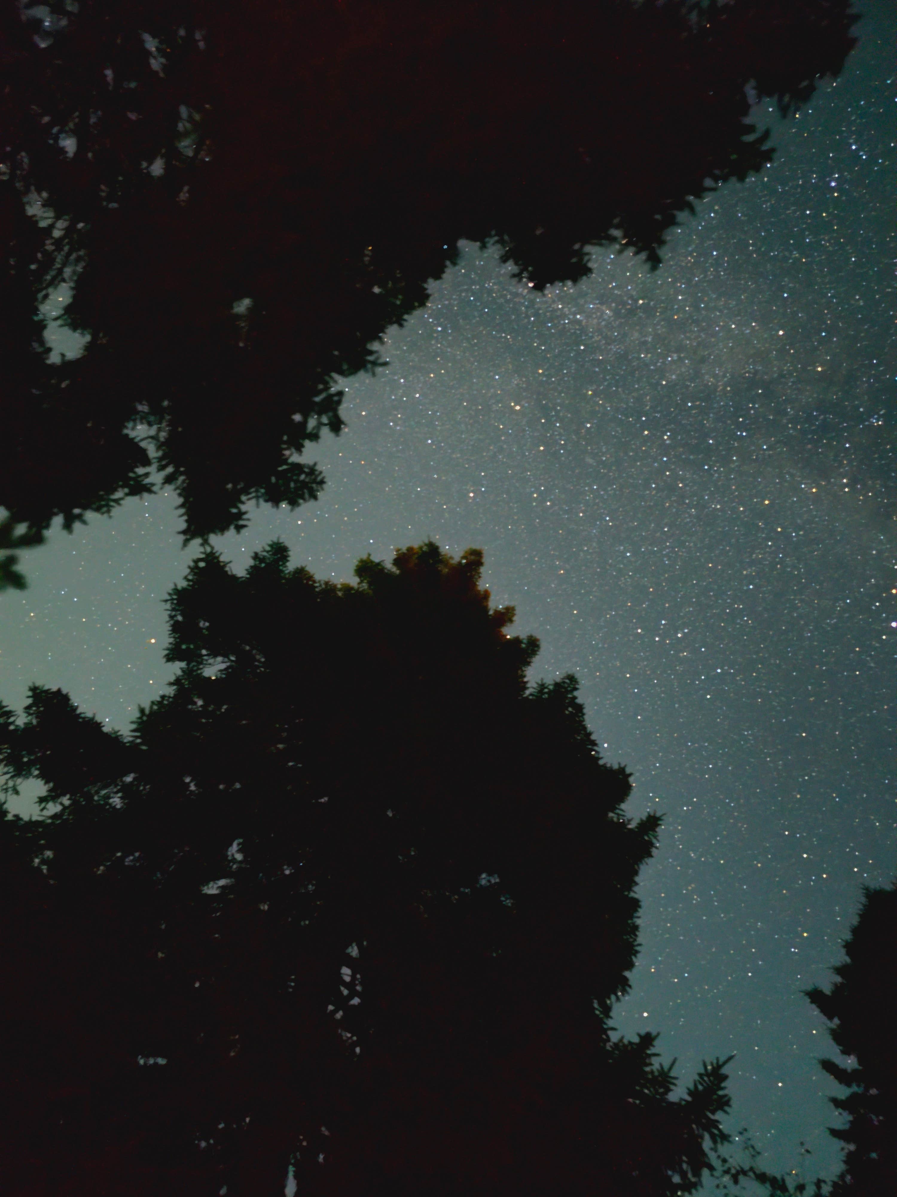 Camper-submitted photo at Bass Harbor Campground near Islesford, ME