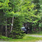 Review photo of Bass Harbor Campground by MJ B., June 19, 2024