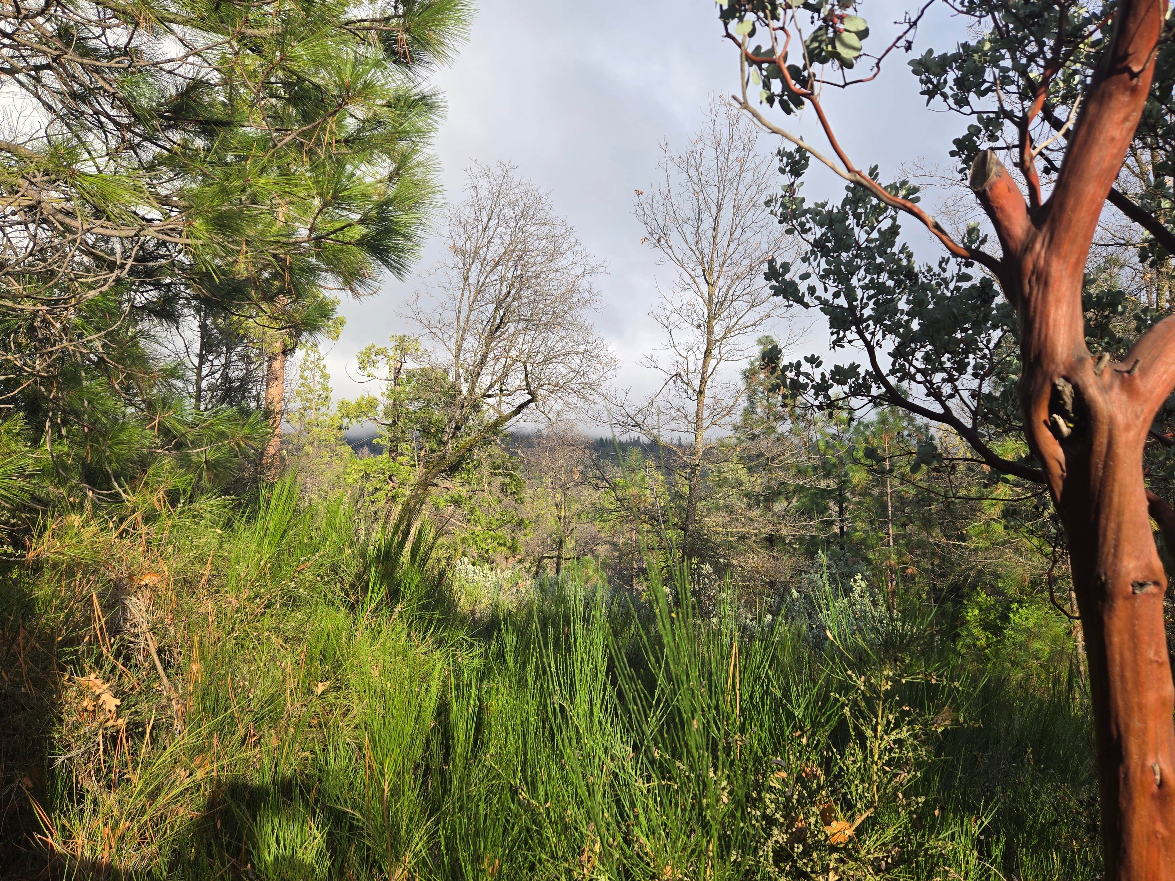 Camper-submitted photo at Bass Lake at Yosemite RV Resort near Lakeshore, CA