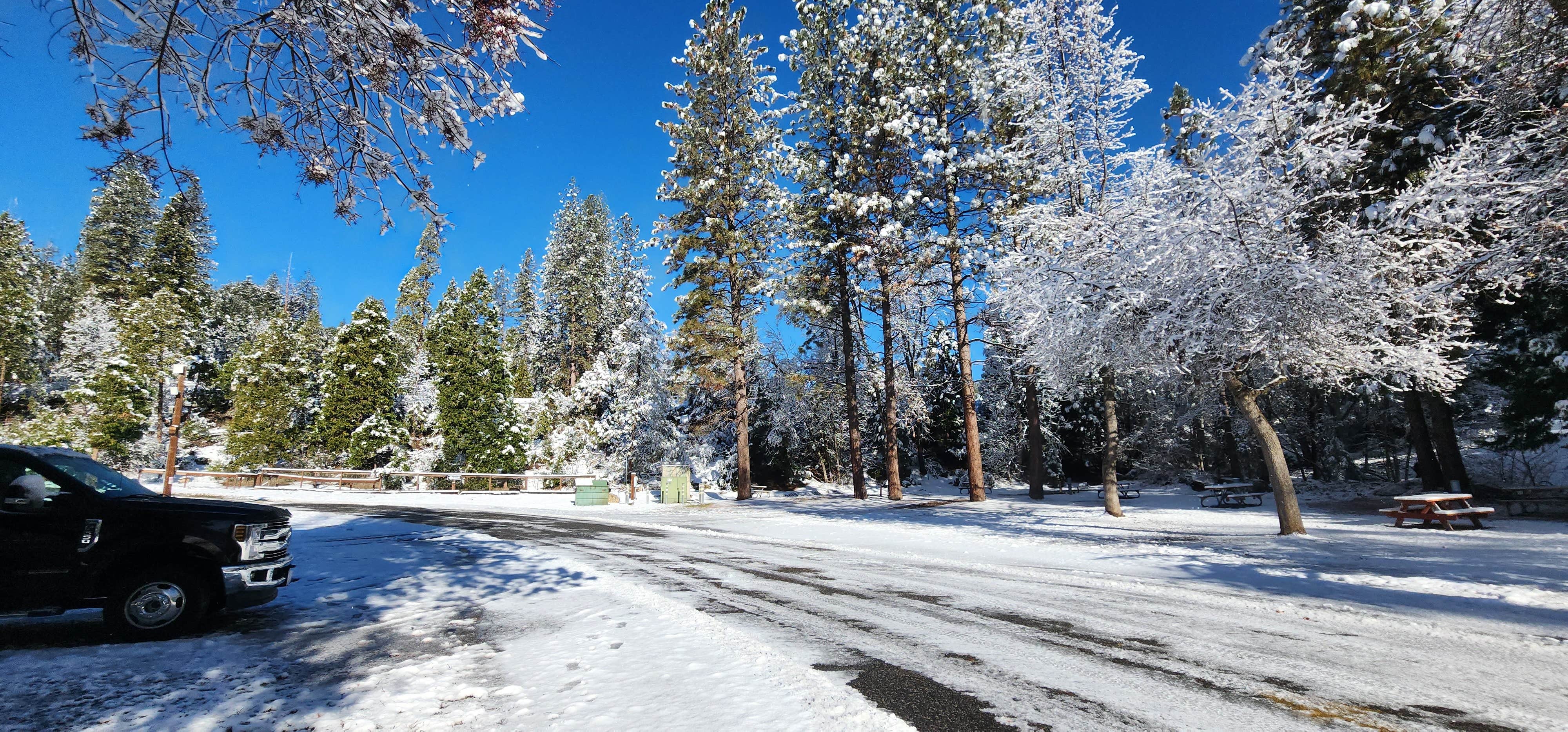 Camper submitted image from Outdoorsy Yosemite - 4