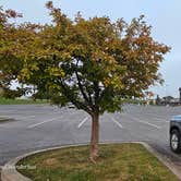 Review photo of Bass Pro Shops Auburn, NY by Bare Soul W., September 16, 2025