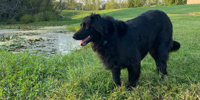 Camper submitted image from Bass Pro Shops Columbia, MO