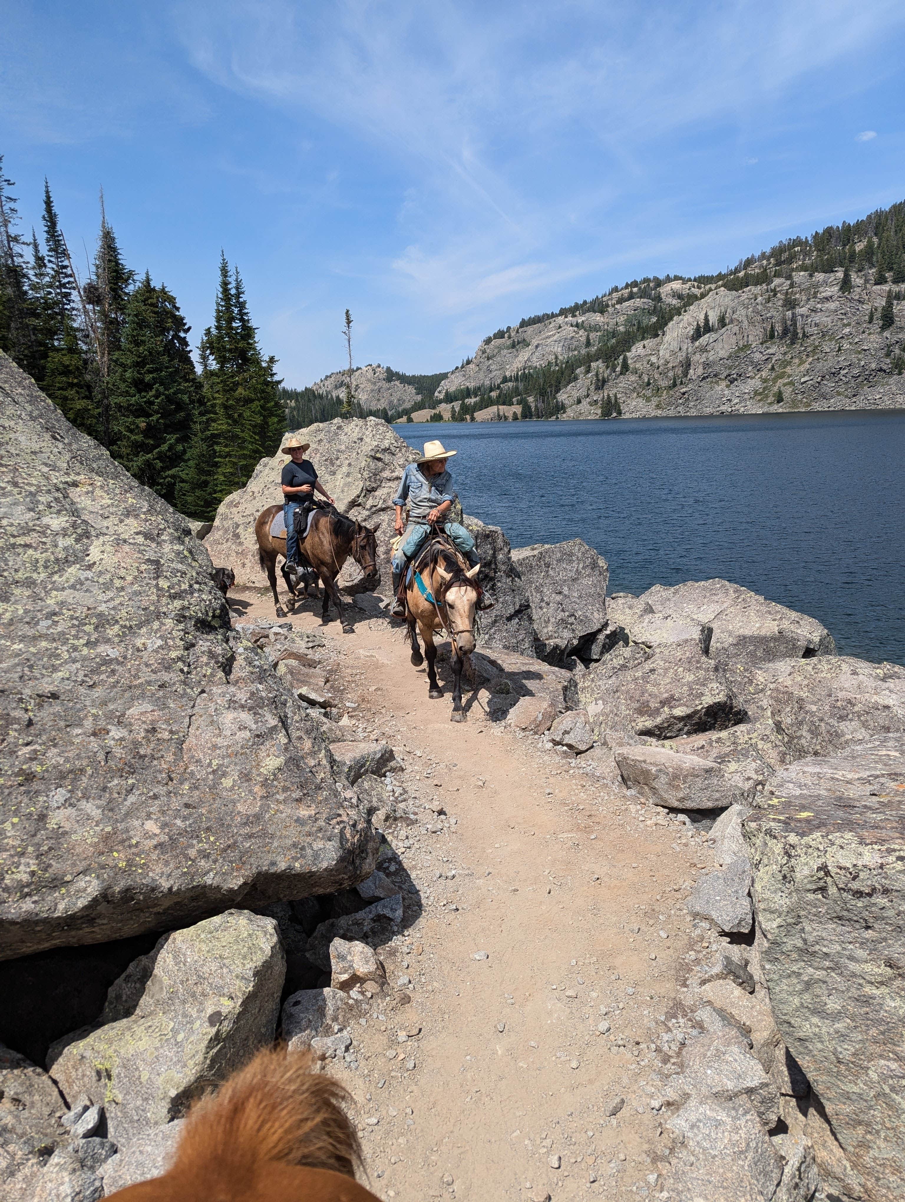 Camper-submitted photo at Battle Park Trailhead near Sheridan, WY