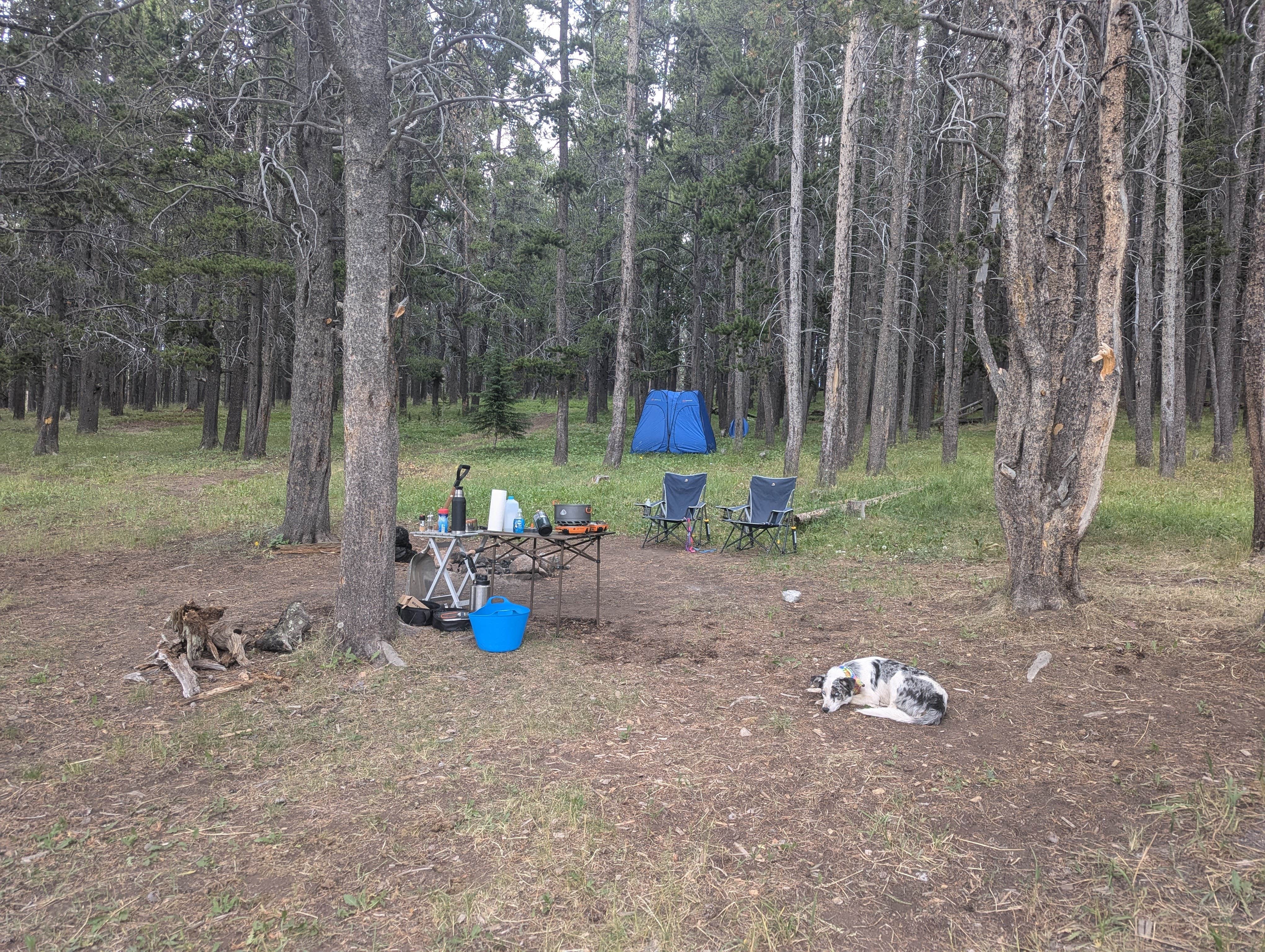 Camper-submitted photo at Battle Park Trailhead near Sheridan, WY