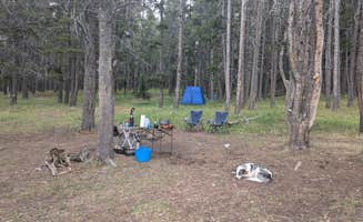 Shannon T.'s photo at Battle Park Trailhead near Bighorn National Forest