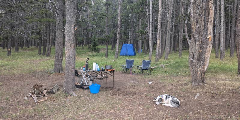 Camper submitted image from Battle Park Trailhead