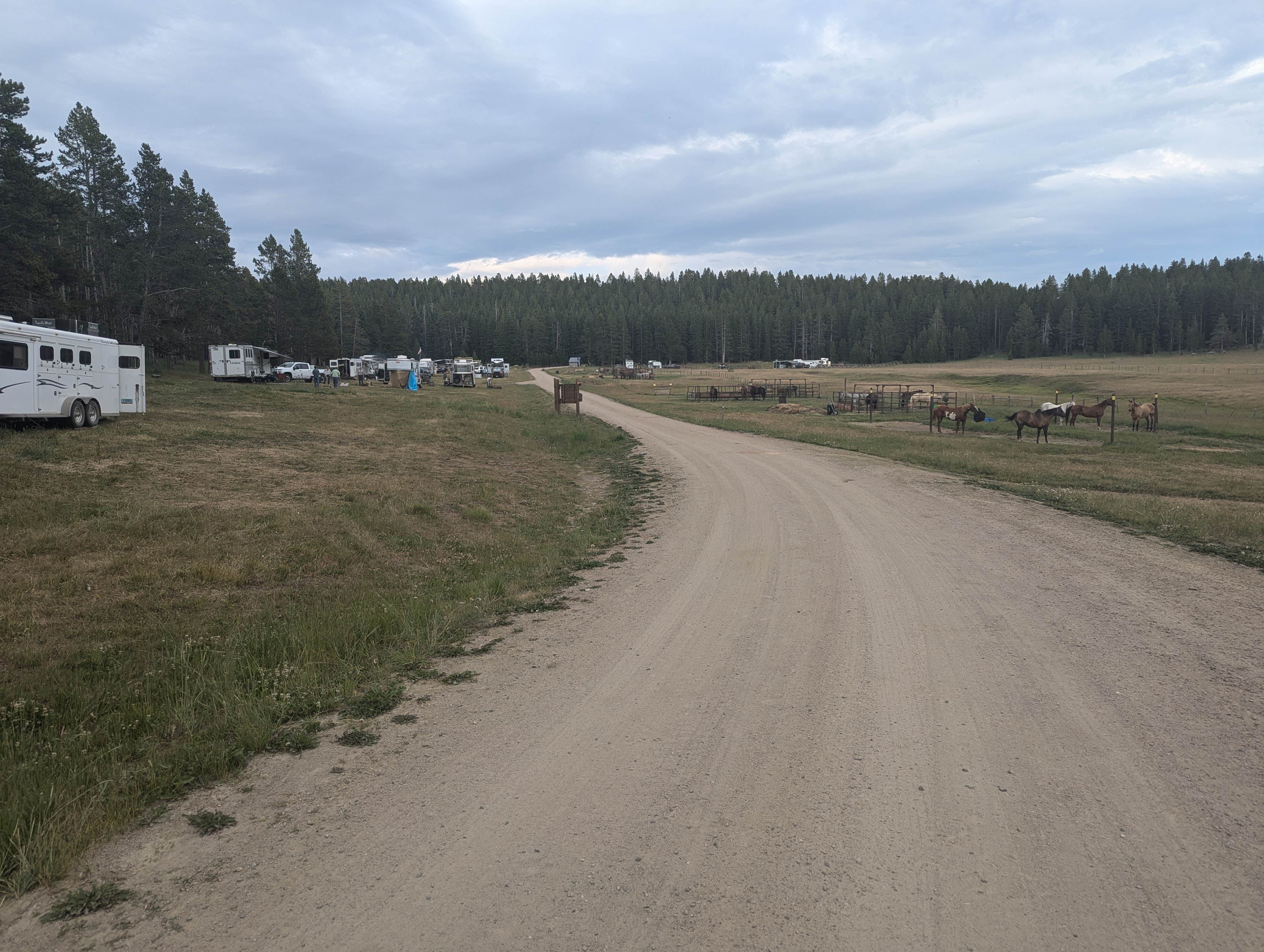 Shannon T.'s photo of camping with a horse at Battle Park Trailhead near Sheridan, WY