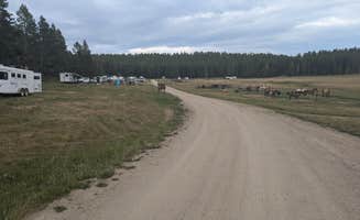Shannon T.'s photo of camping with a horse at Battle Park Trailhead near Hyattville, WY