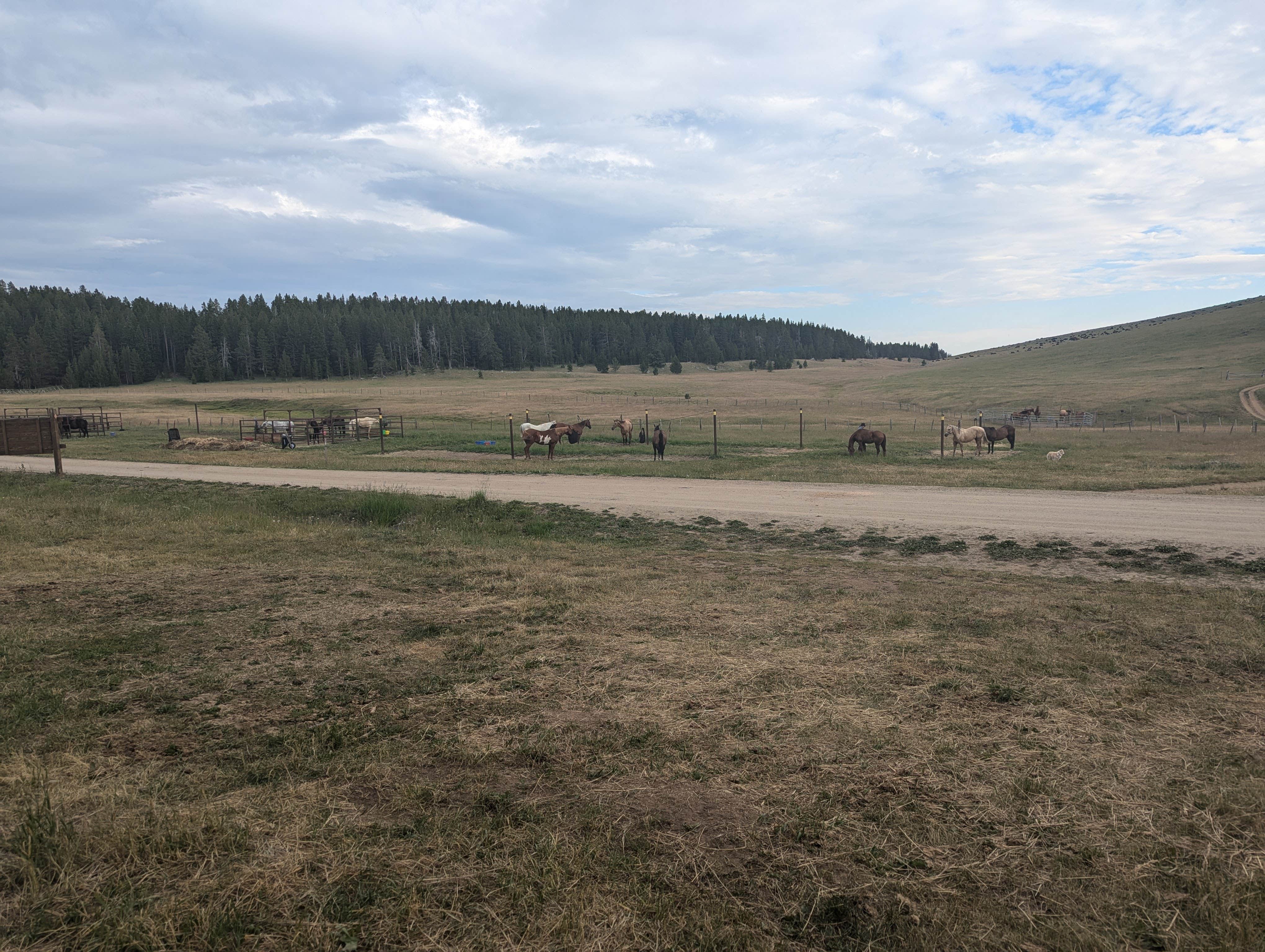 Camper-submitted photo at Battle Park Trailhead near Sheridan, WY