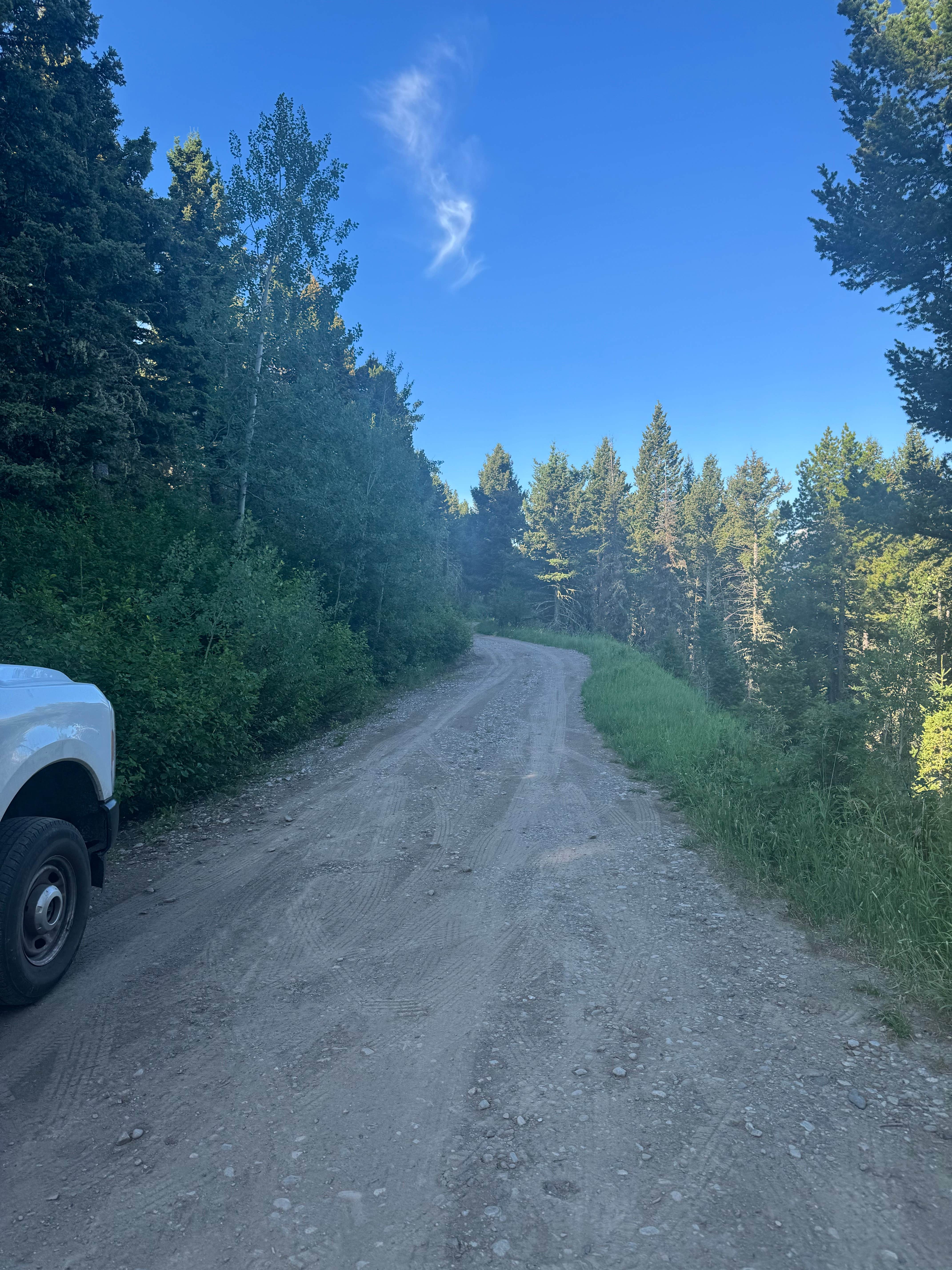 Camper-submitted photo at Battle Ridge Dispersed near Livingston, MT