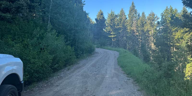 Camper submitted image from Battle Ridge Dispersed