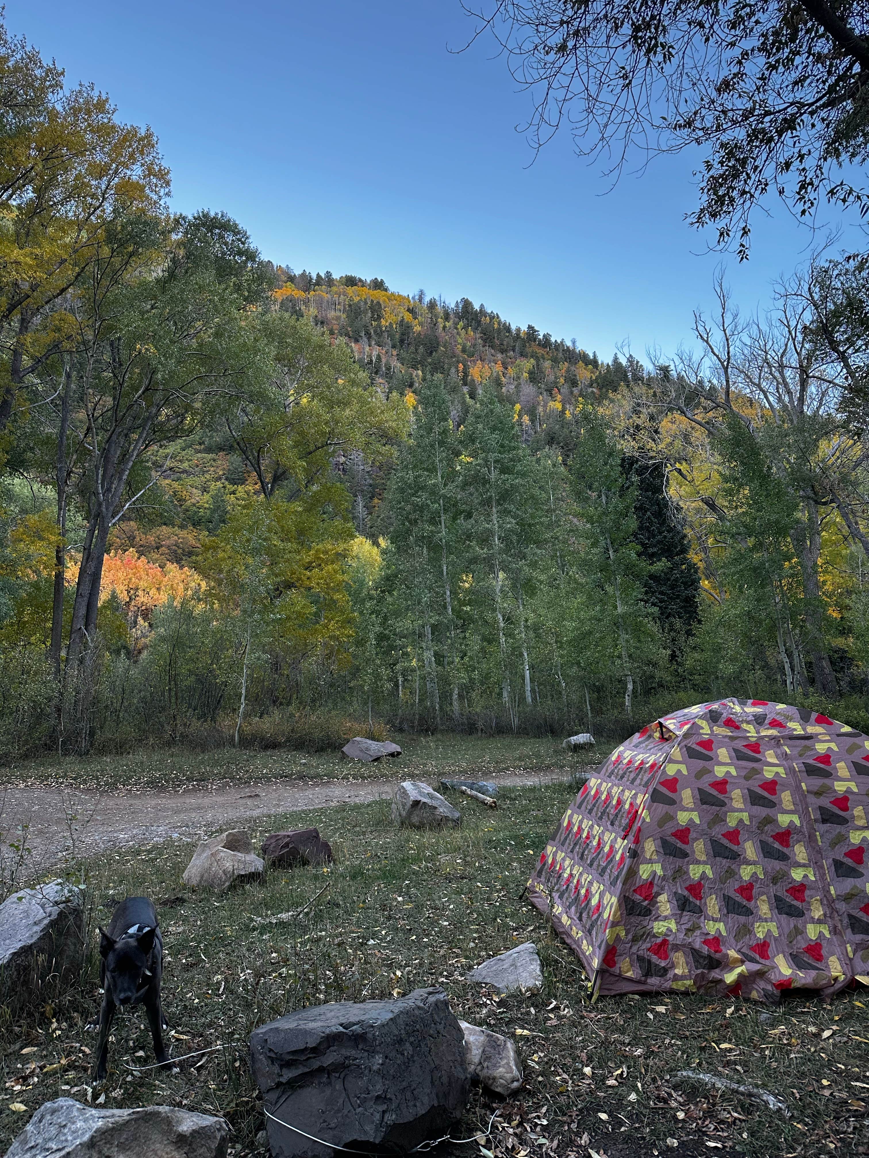 Kat P.'s photo of tent camping at Bay City Campground near Cortez, CO