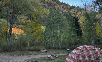 Kat P.'s photo of tent camping at Bay City Campground near Mesa Verde National Park