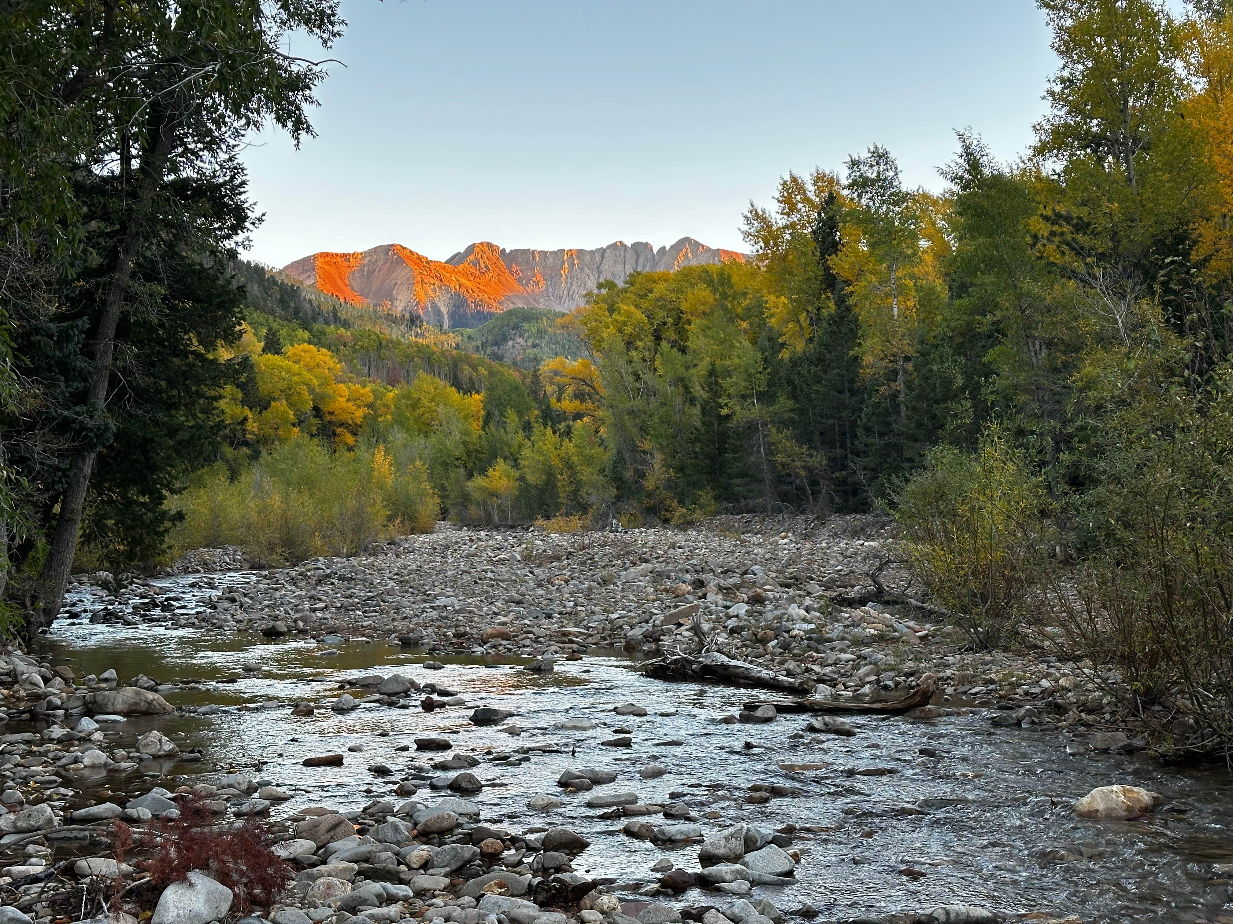 Camper-submitted photo at Bay City Campground near Cortez, CO