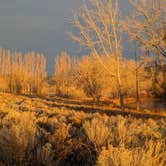 Review photo of Bay Loop Campground — Steamboat Rock State Park by Shay F., April 26, 2024